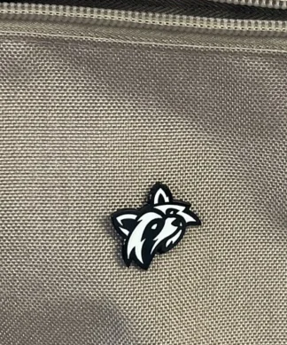Trash Panda Pins