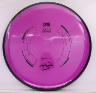 Neutron Spin