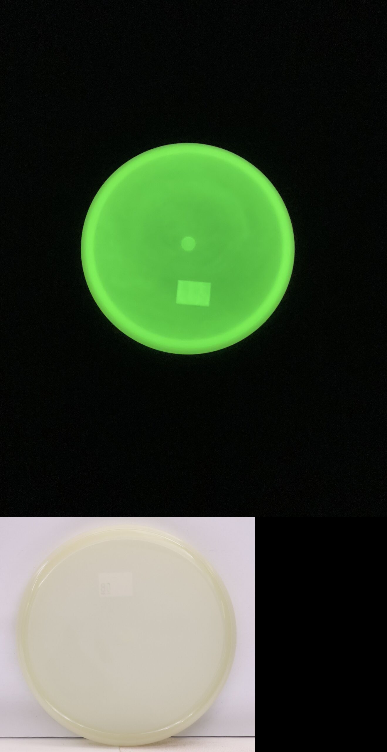 662941 Simon Line Total Eclipse Lens Cap Mini, No Stamp - #08 Green-Green