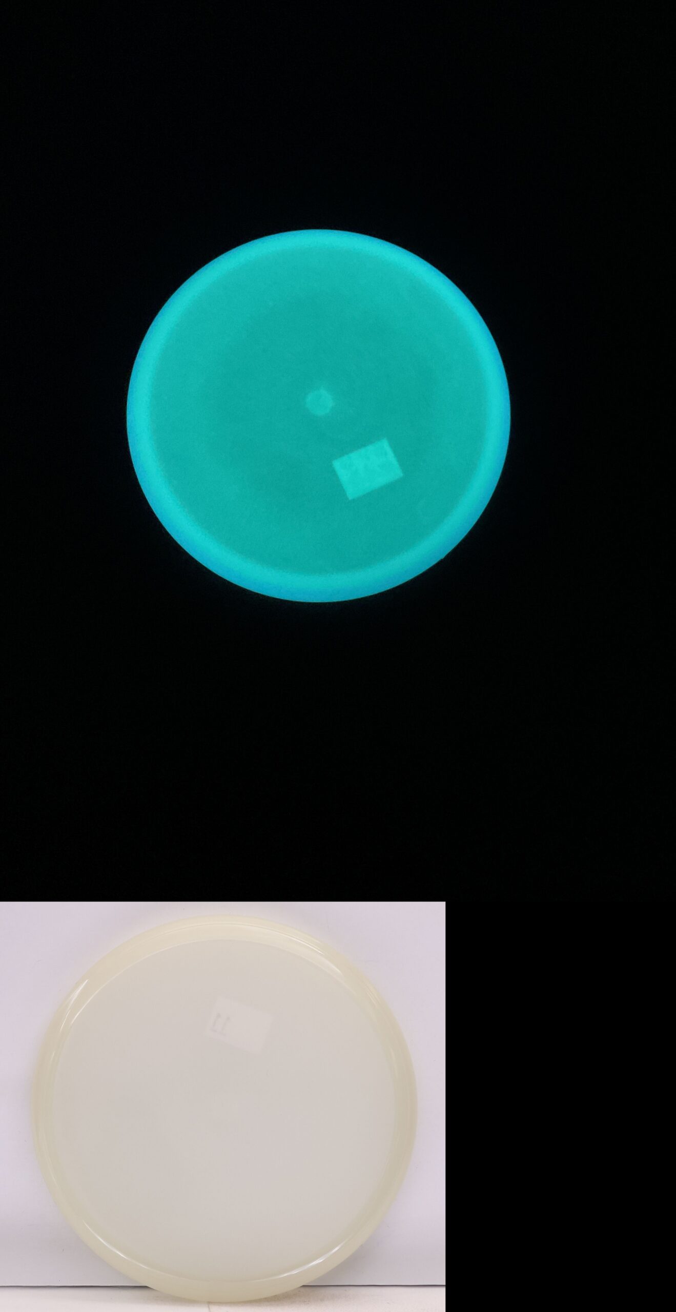 662954 Simon Line Total Eclipse Lens Cap Mini, No Stamp - #11 Teal