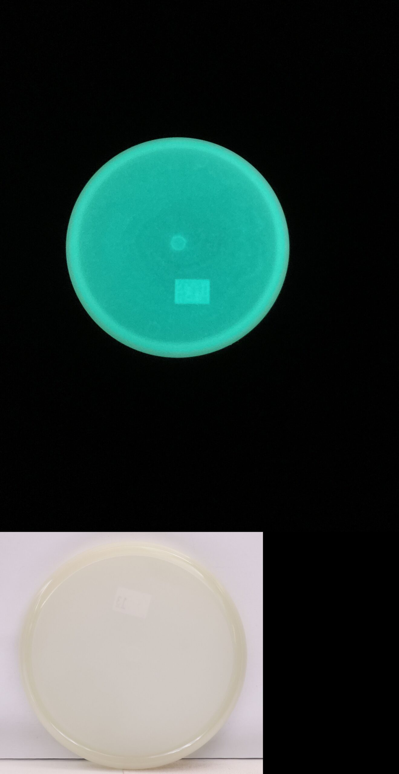 662956 Simon Line Total Eclipse Lens Cap Mini, No Stamp - #13 Teal