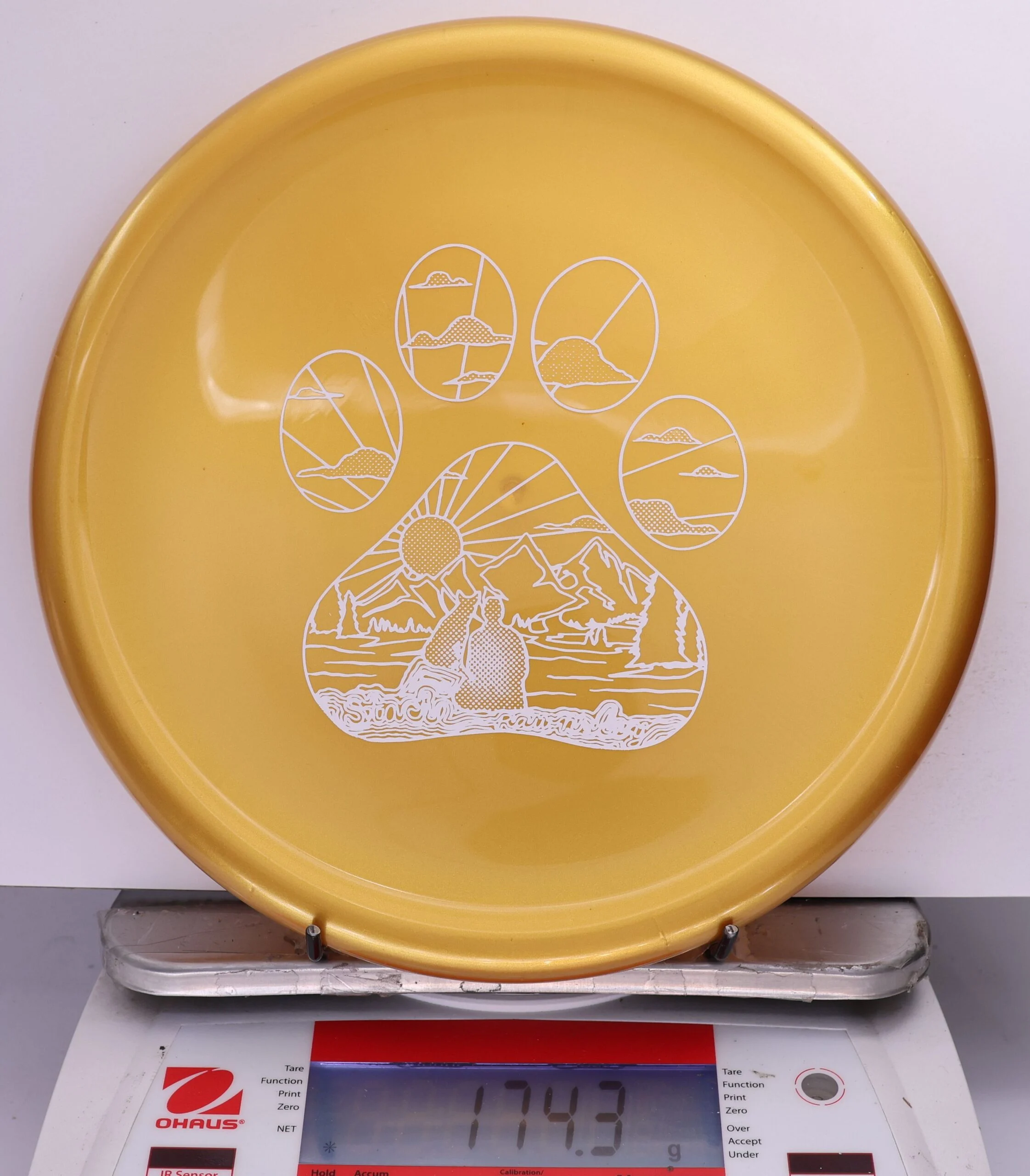 680135 K1 Hard Berg X, Stacie Rawnsley 2024 - #910 Gold, 174