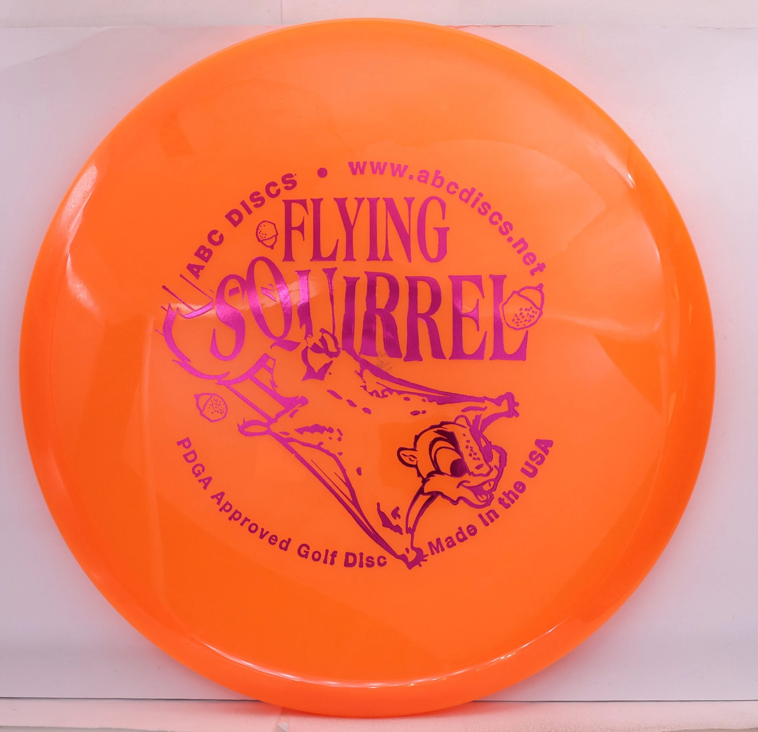 Platinum Flying Squirrel - Image 4