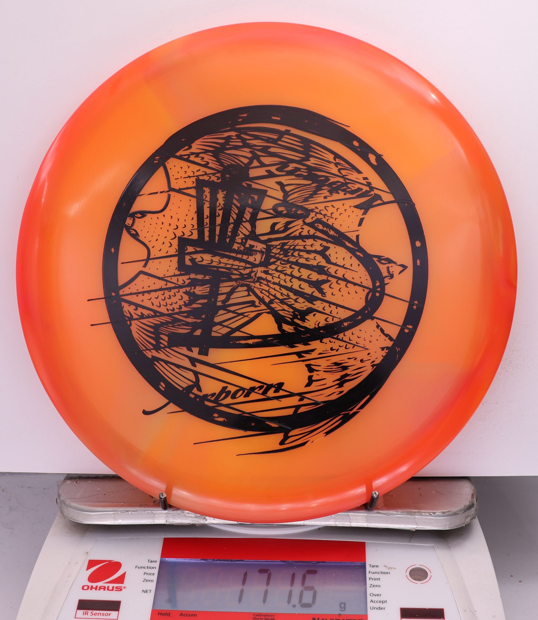 728854 X-Out Z Buzzz - #307 Orange, 172