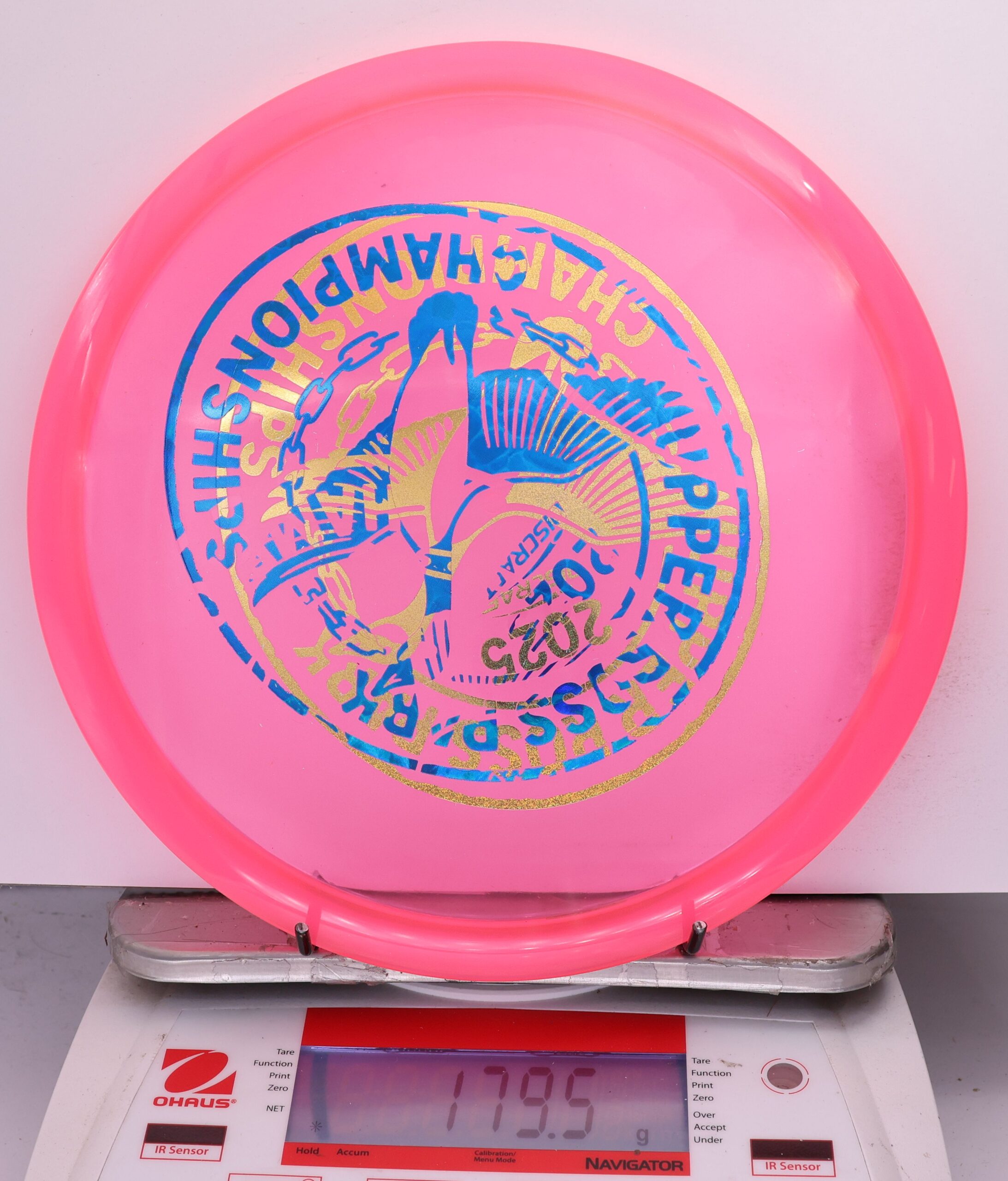 728883 X-Out Z Buzzz - #313 Pink, 180