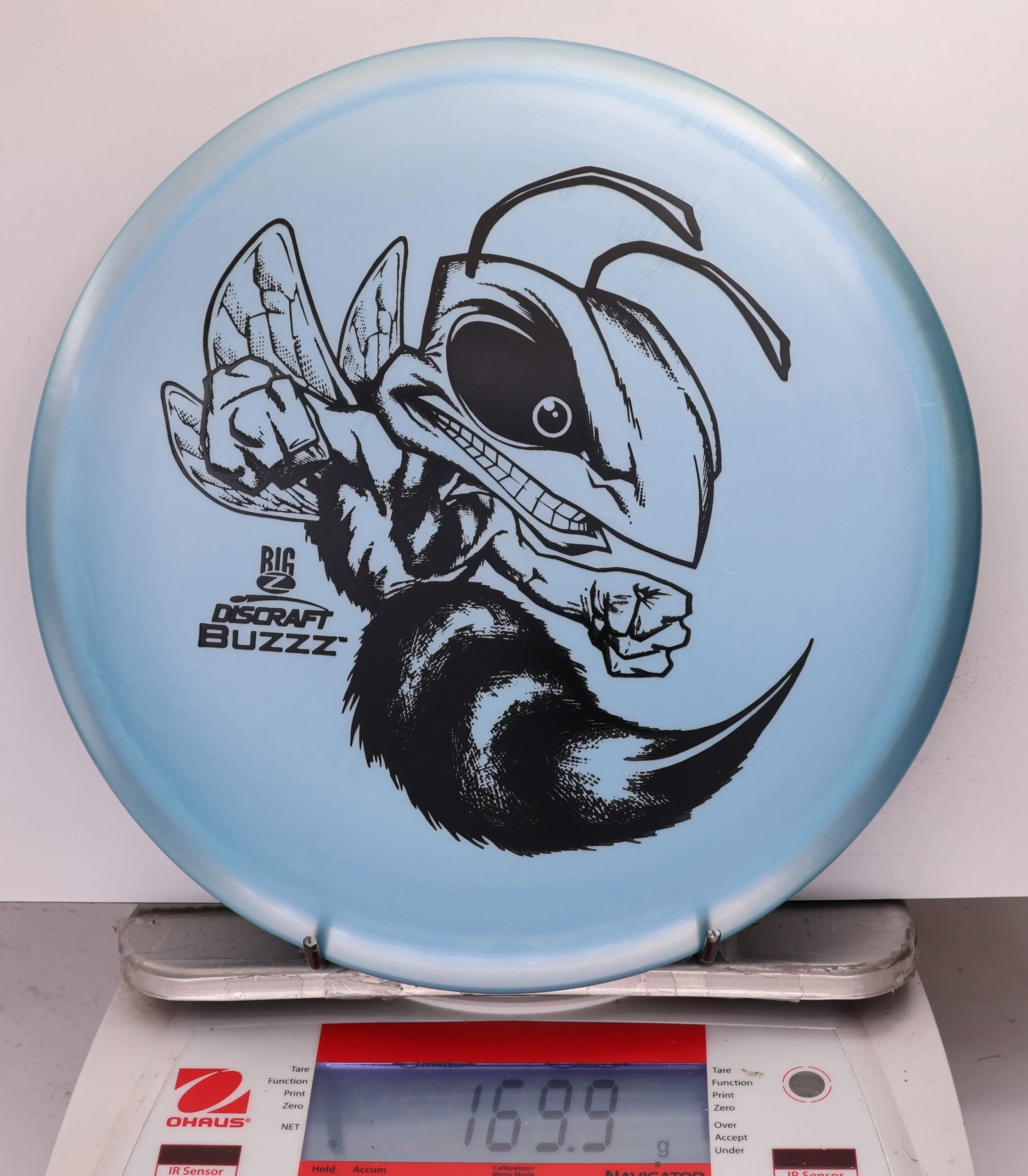 756944 Big Z Buzzz - #42 LtBlue, 170