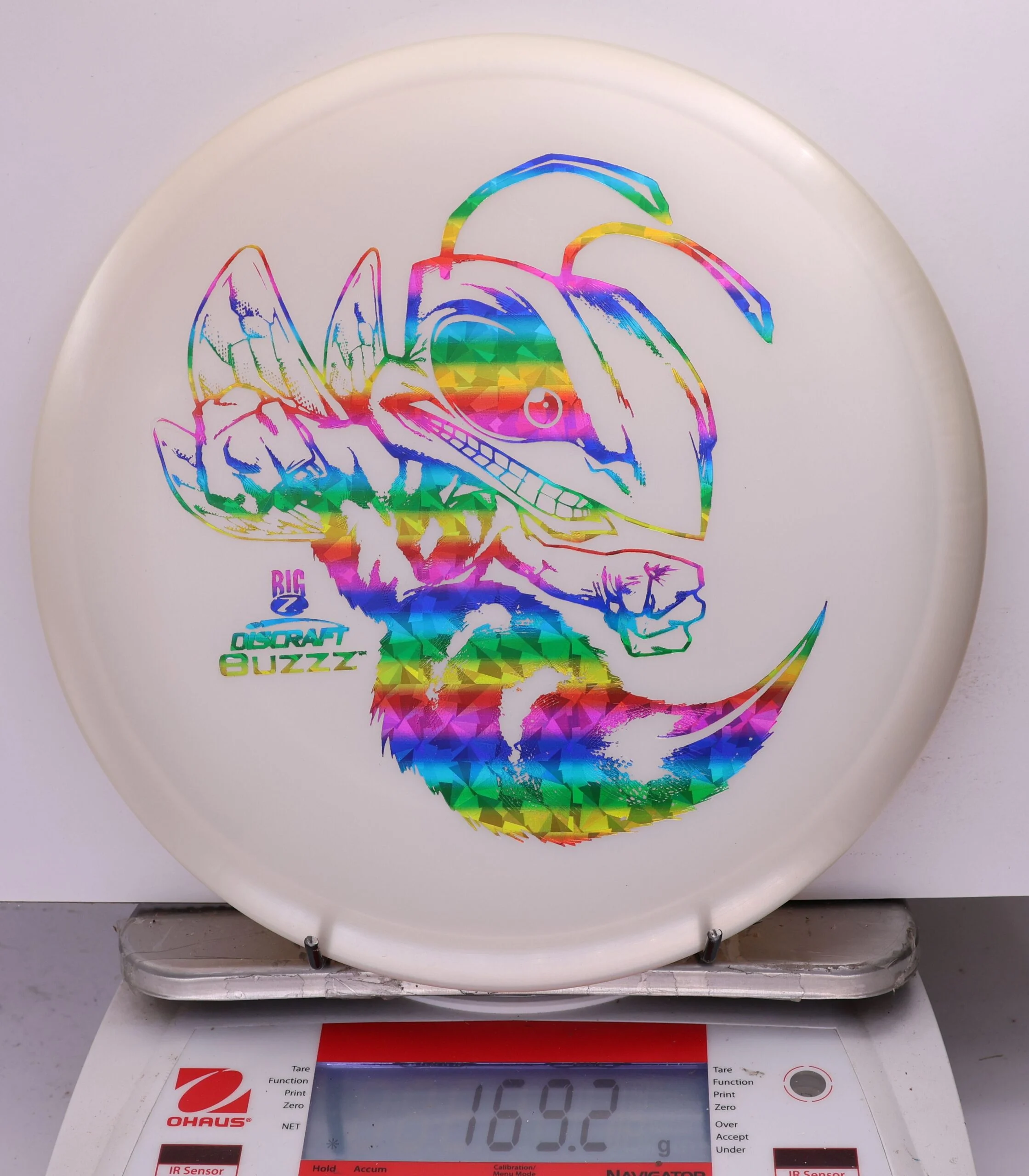 756945 Big Z Buzzz - #43 White, 169
