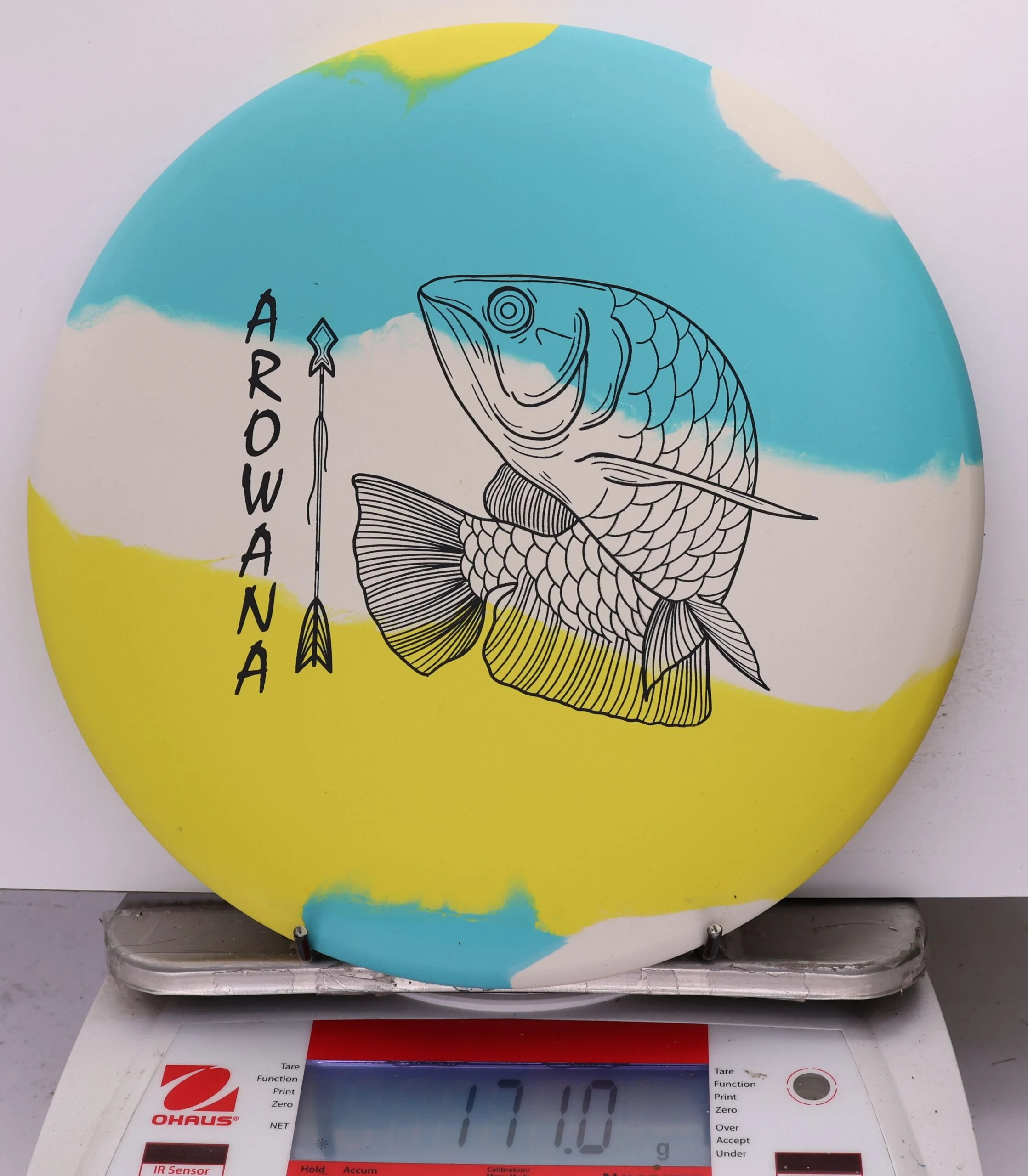 758013 ecoFLEX Arowana - #01 Sunny Day, 171