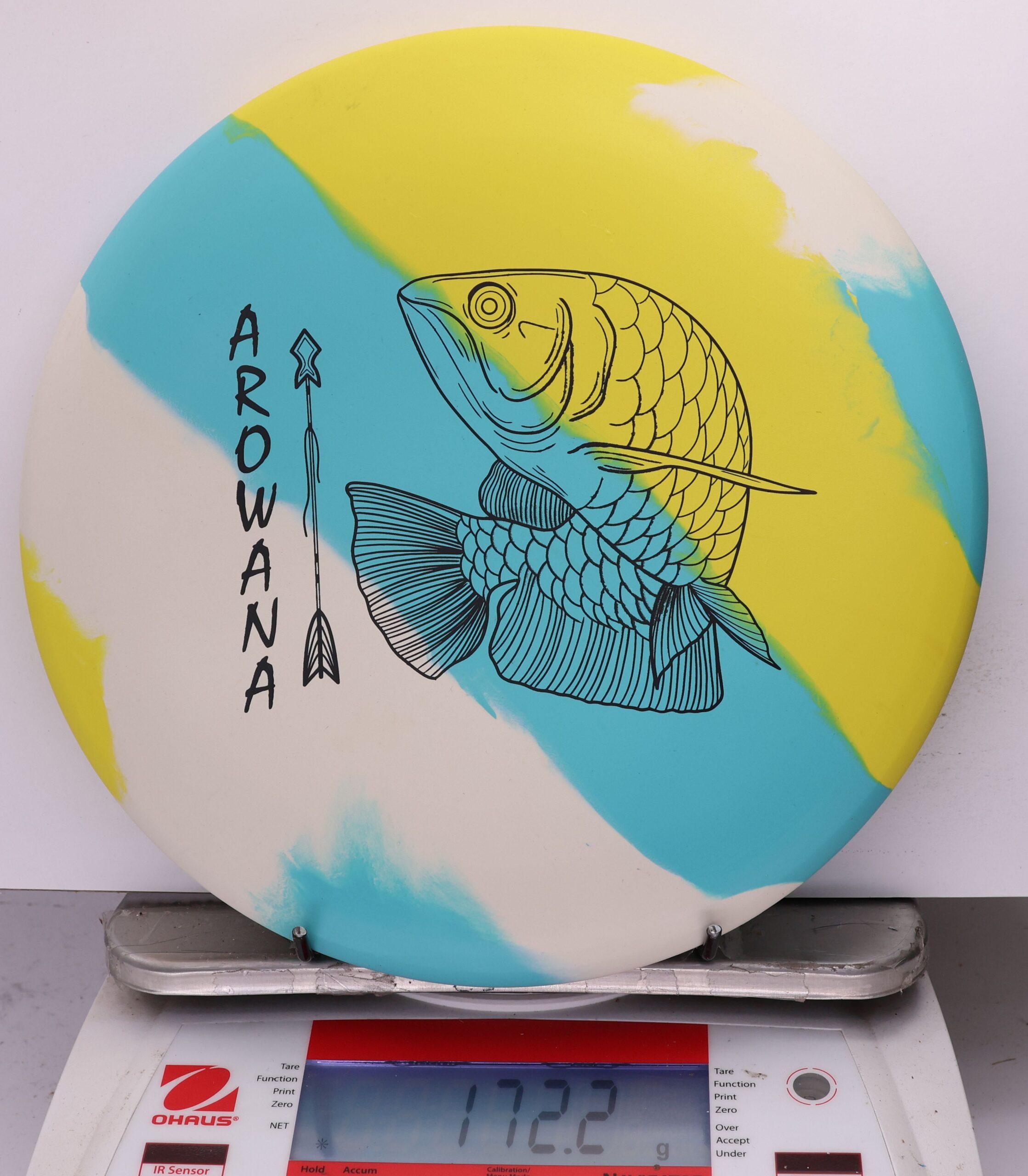 758014 ecoFLEX Arowana - #02 Sunny Day, 172