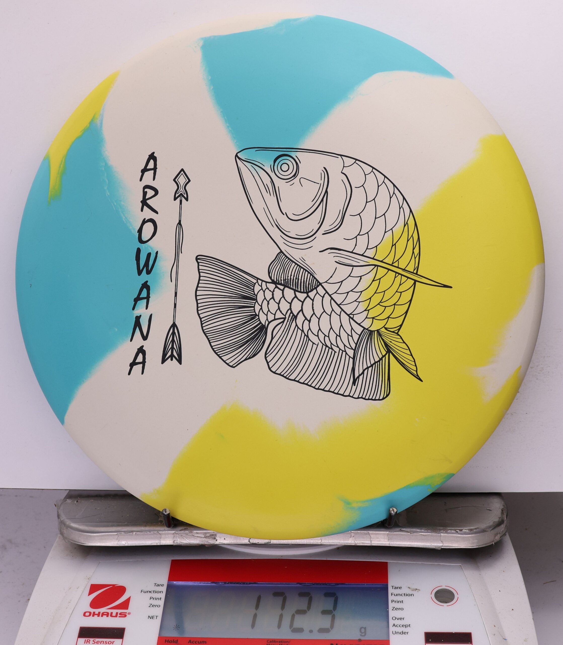 758016 ecoFLEX Arowana - #04 Sunny Day, 172