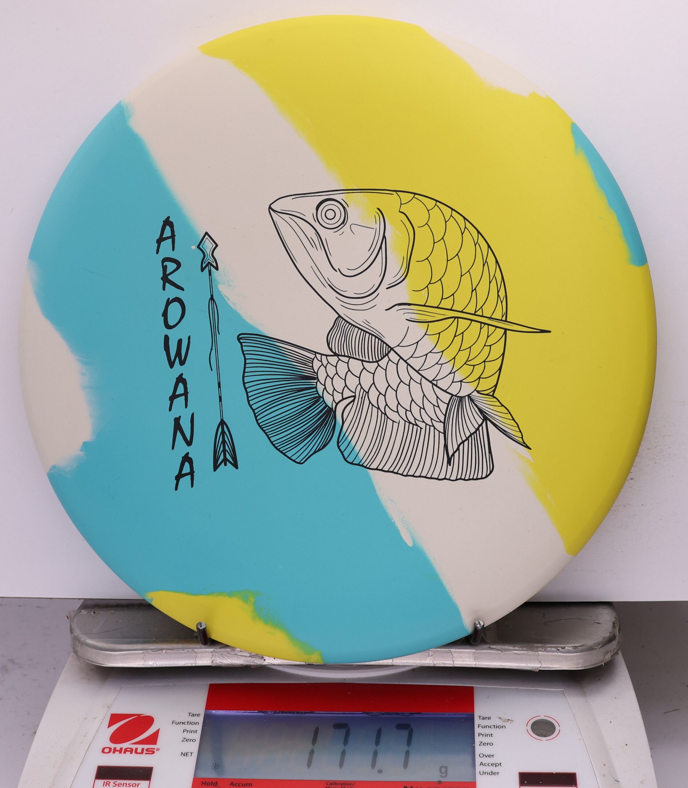 758029 ecoFLEX Arowana - #05 Sunny Day, 172