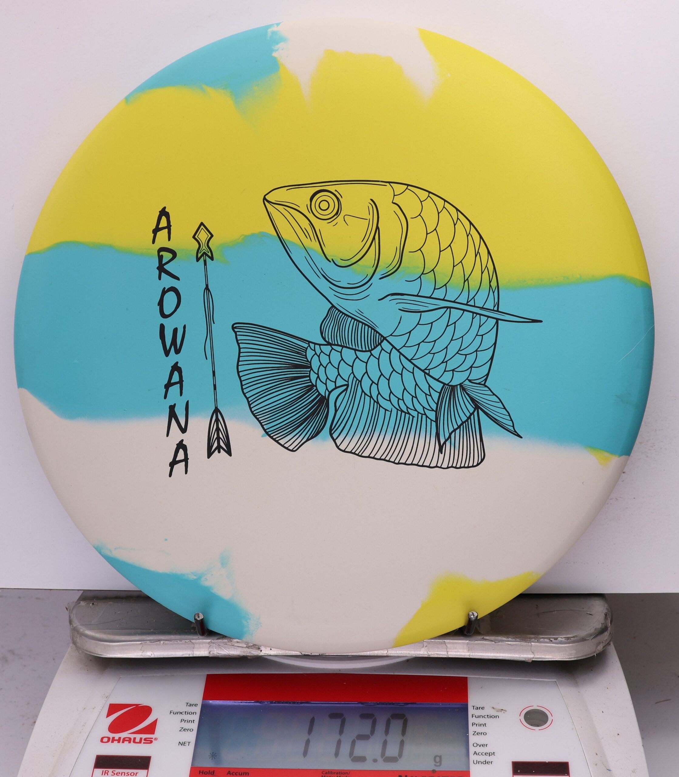 758031 ecoFLEX Arowana - #07 Sunny Day, 172