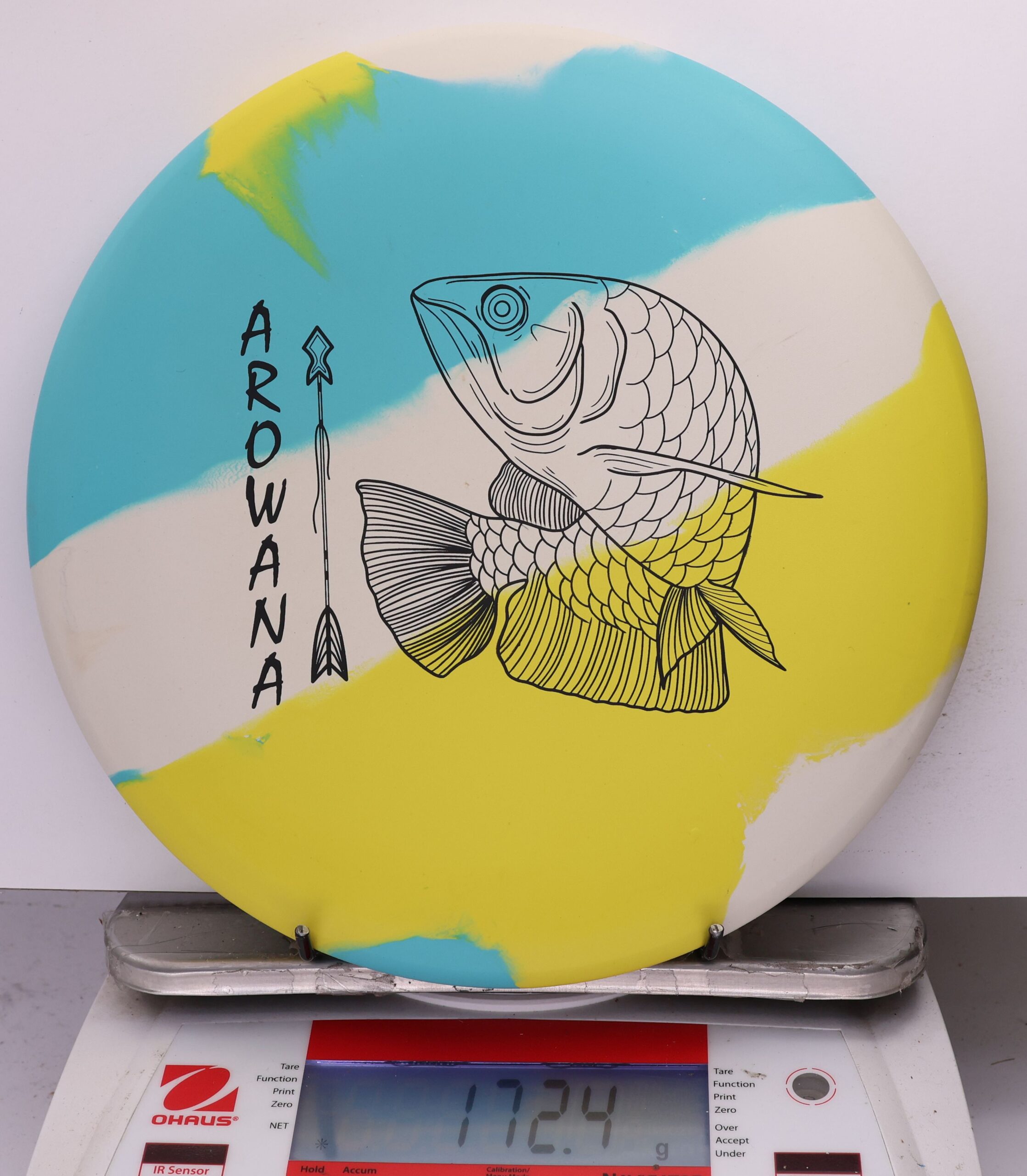 758033 ecoFLEX Arowana - #09 Sunny Day, 172