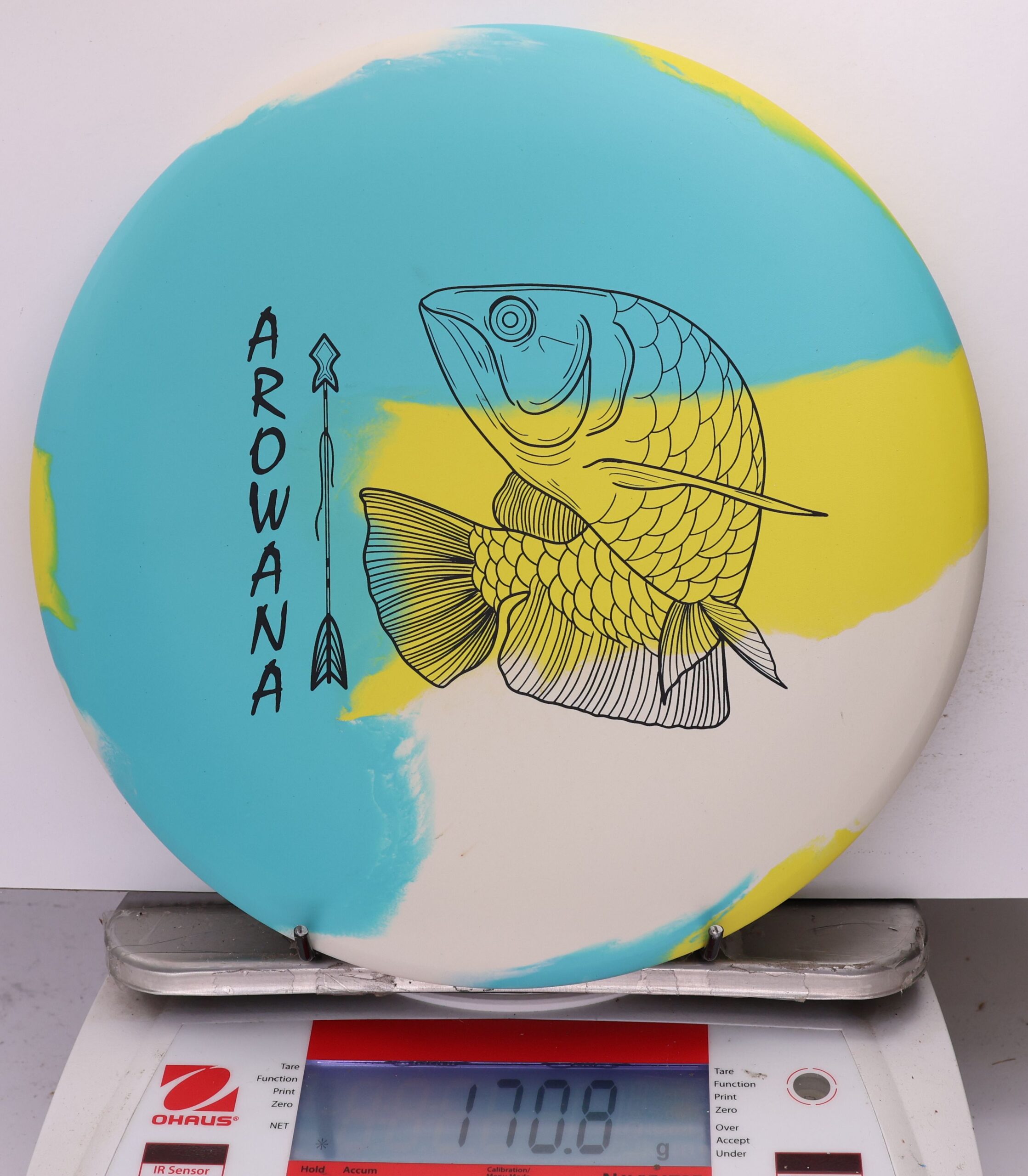 758049 ecoFLEX Arowana - #14 Sunny Day, 171
