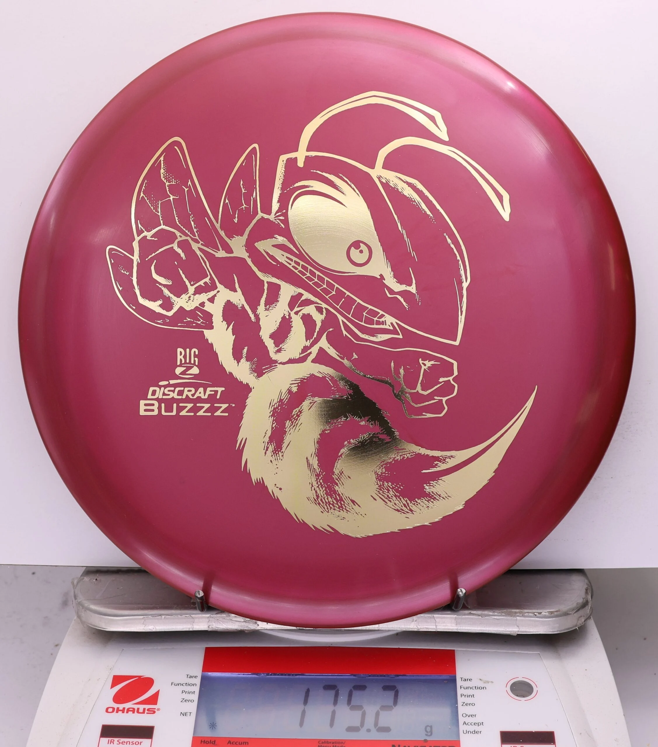 774842 Big Z Buzzz - #202 Magenta, 175