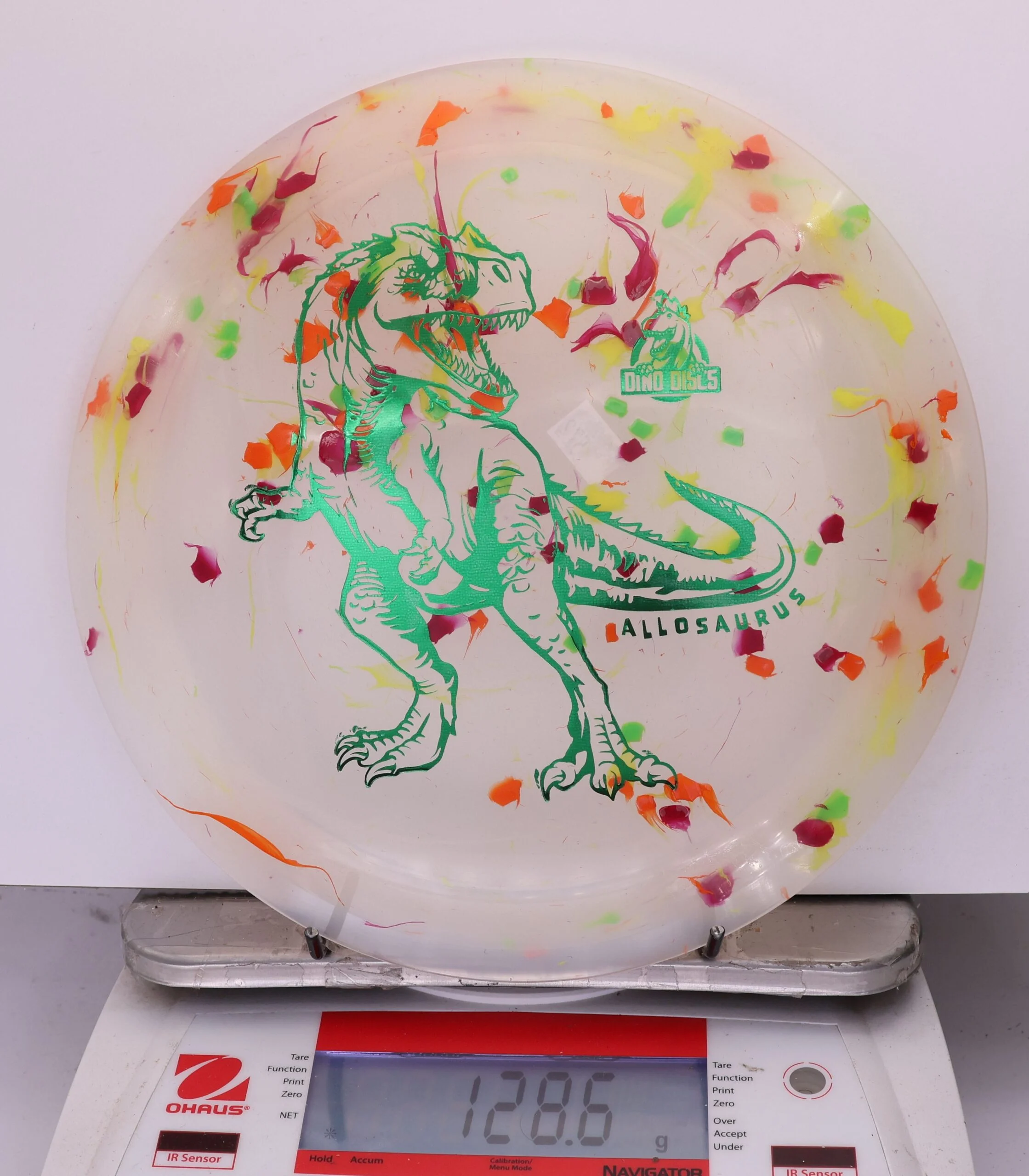 797664 Egg Shell Allosaurus - #572 White, 129