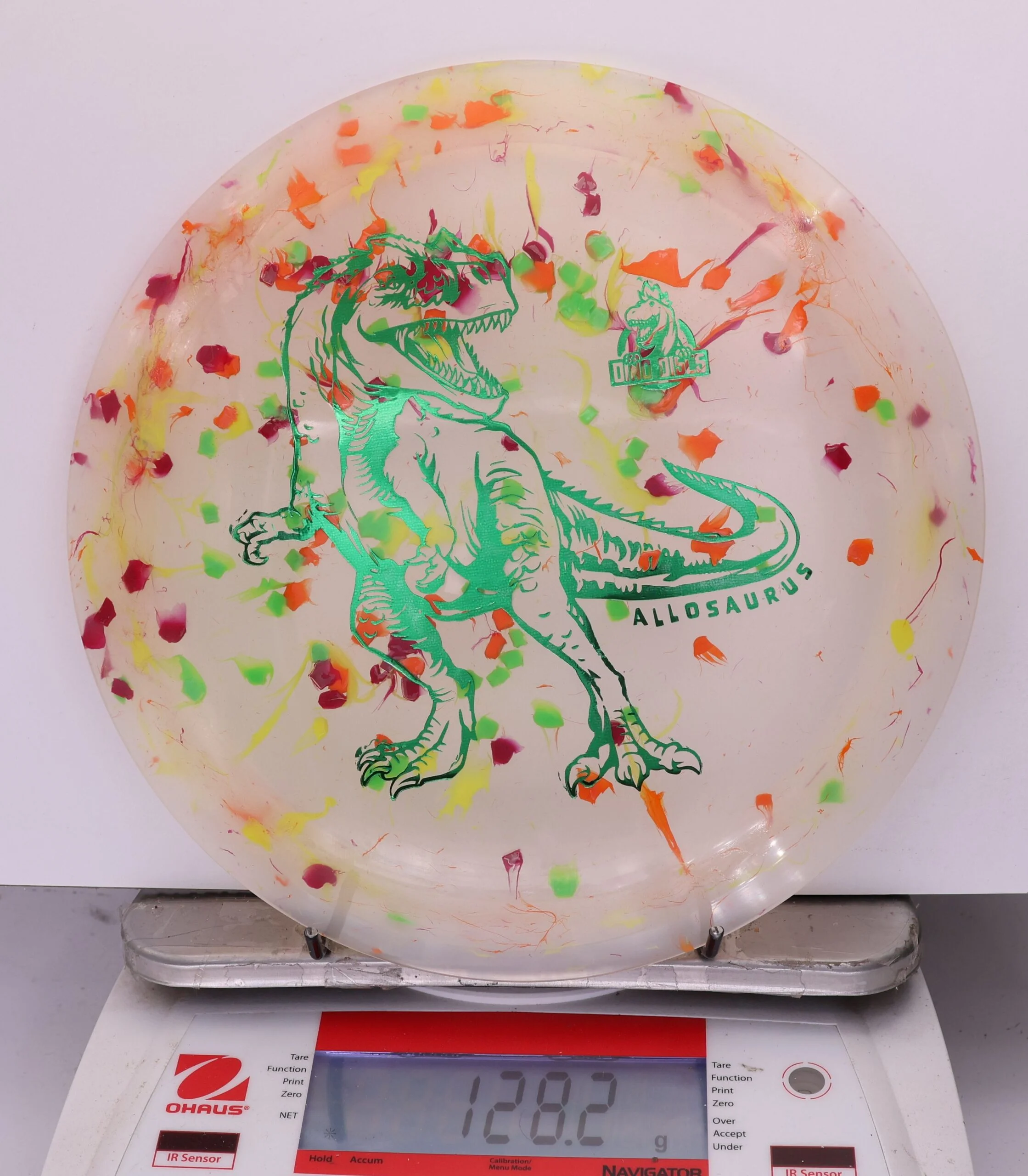 797666 Egg Shell Allosaurus - #574 White, 128