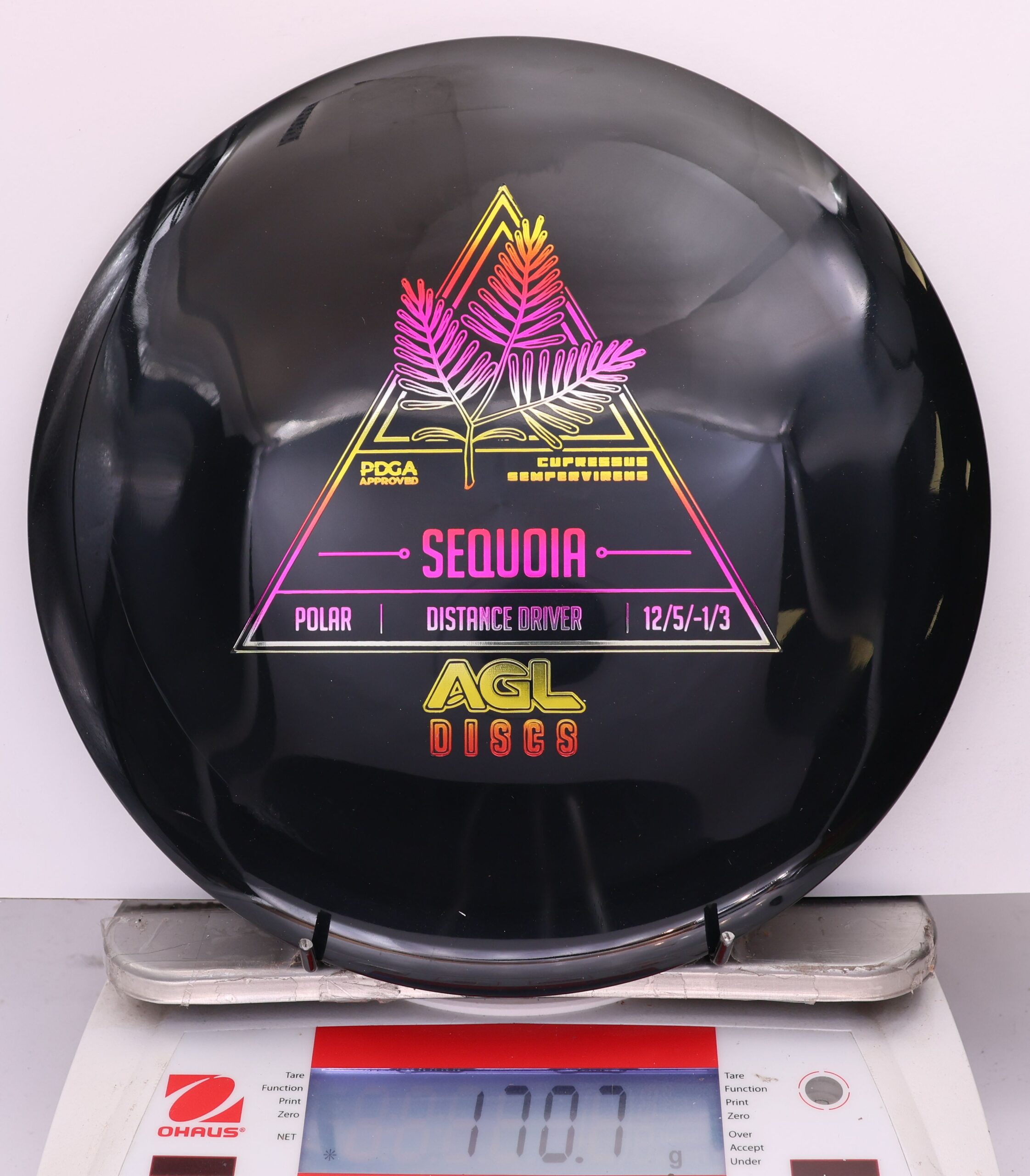 815920 Polar Sequoia - #231 Black, 171