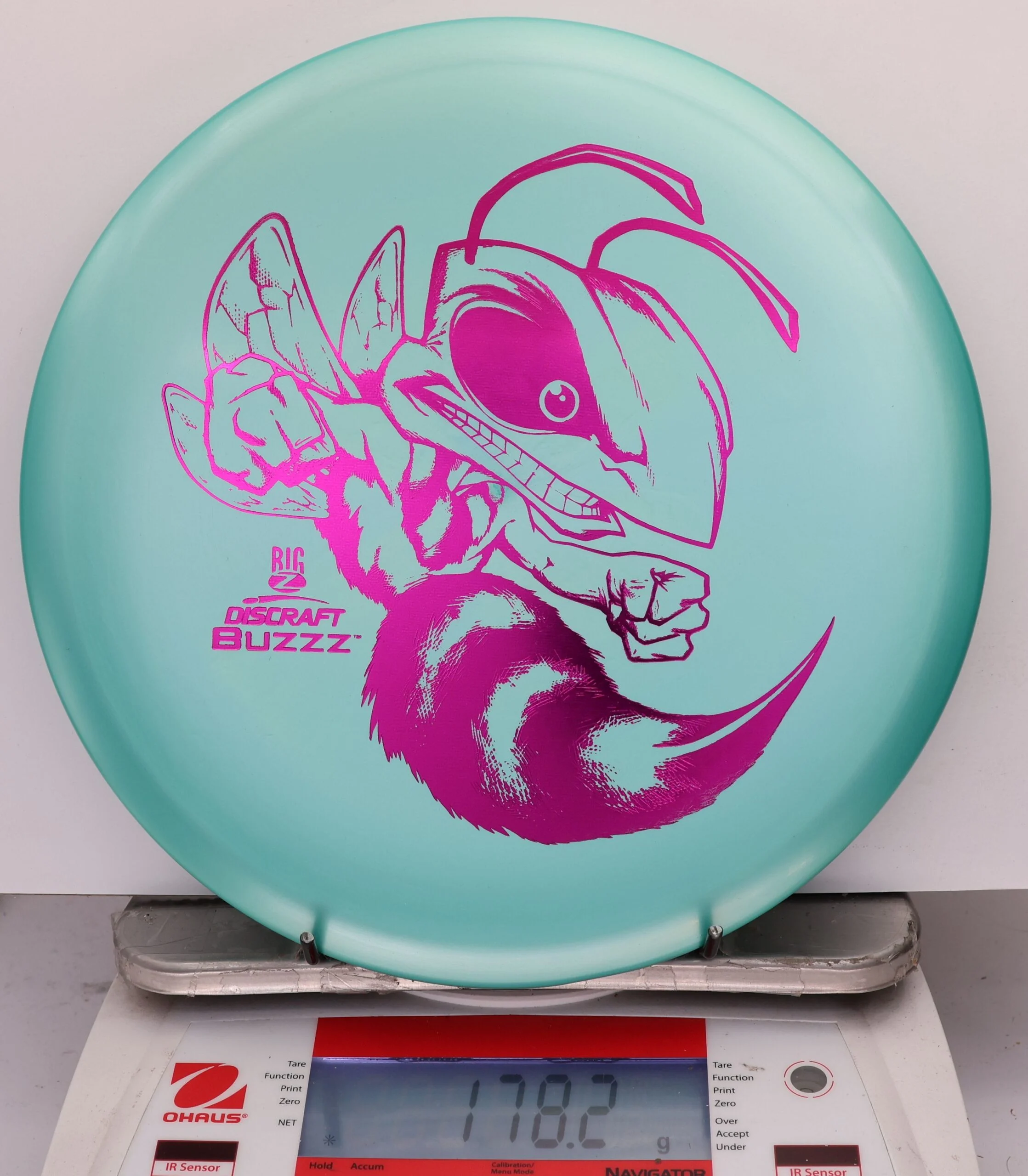 827322 Big Z Buzzz - #253 Teal, 178