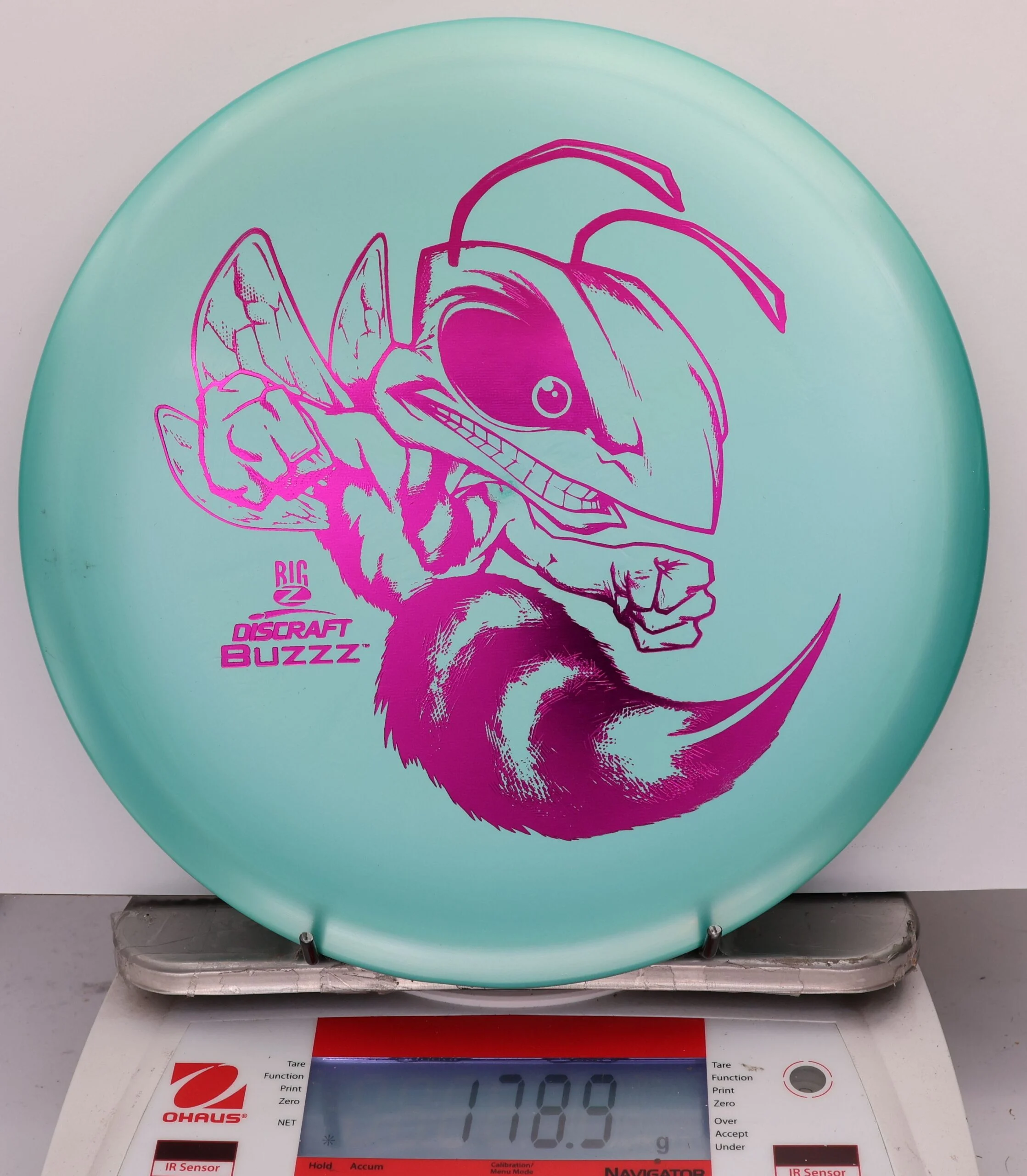 827323 Big Z Buzzz - #254 TEal, 179