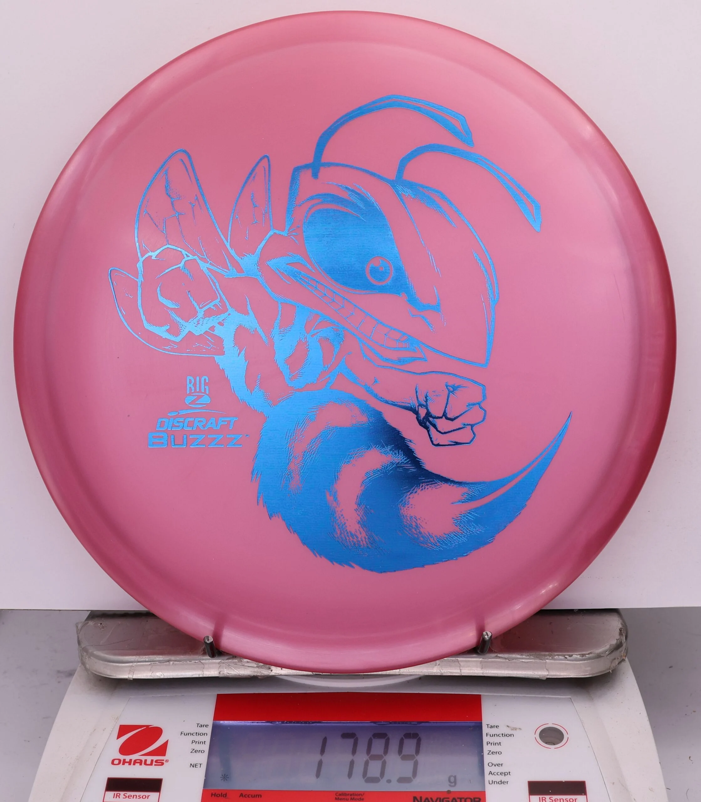 827334 Big Z Buzzz - #260 Magenta, 179