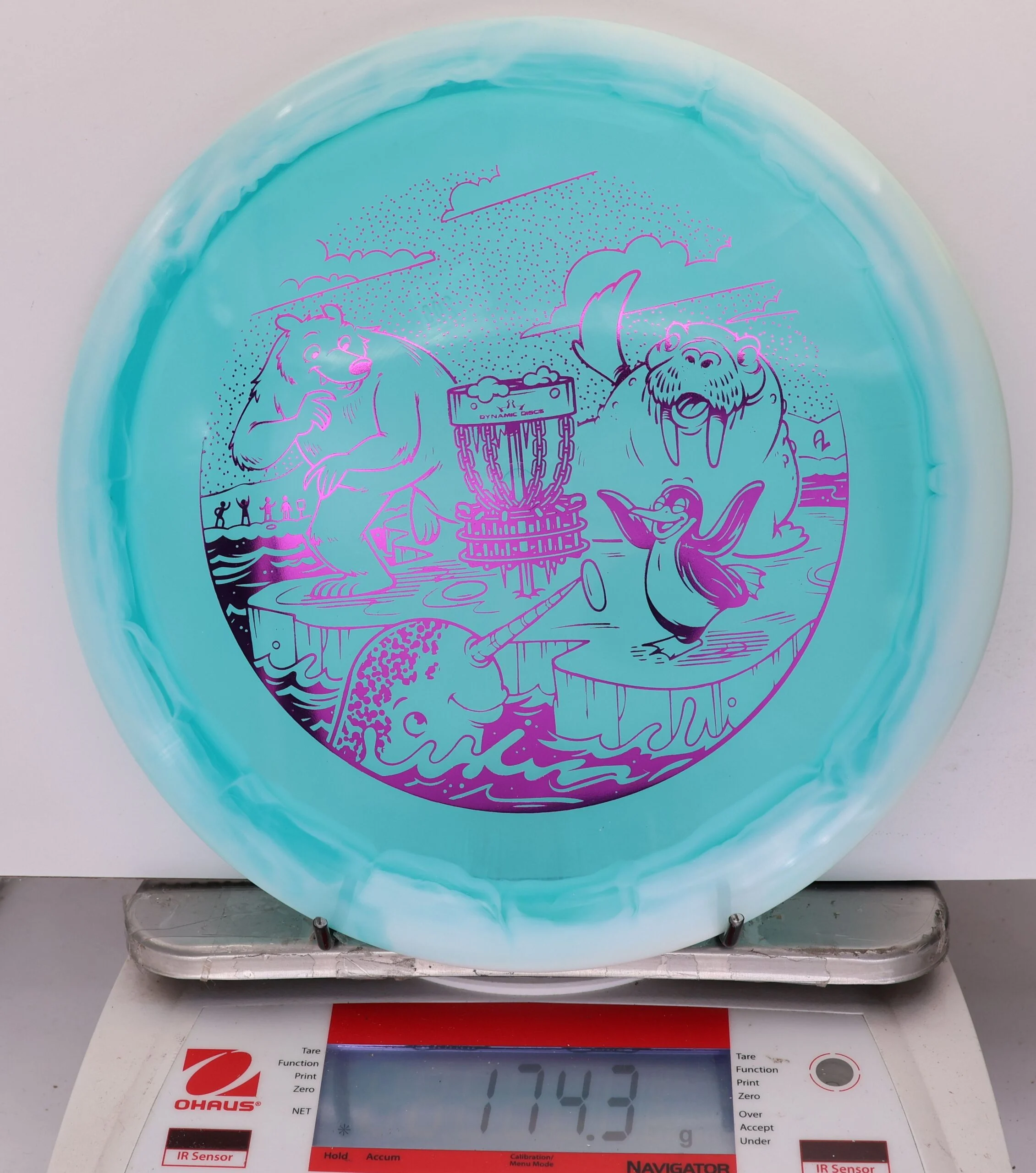 925993 Lucid Ice Orbit Escape, Polar Party - #200 White-Aqua, 174