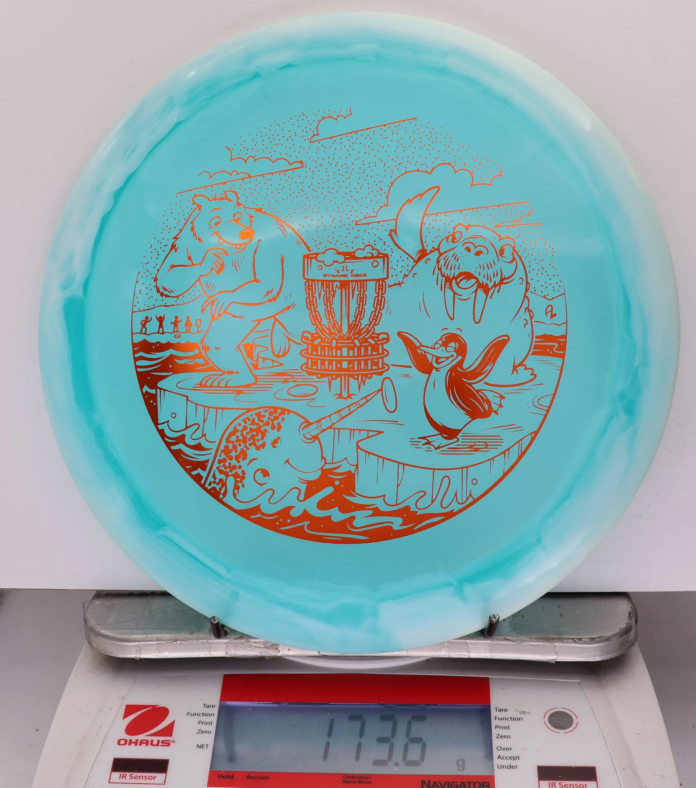 925995 Lucid Ice Orbit Escape, Polar Party - #202 White-Aqua, 174