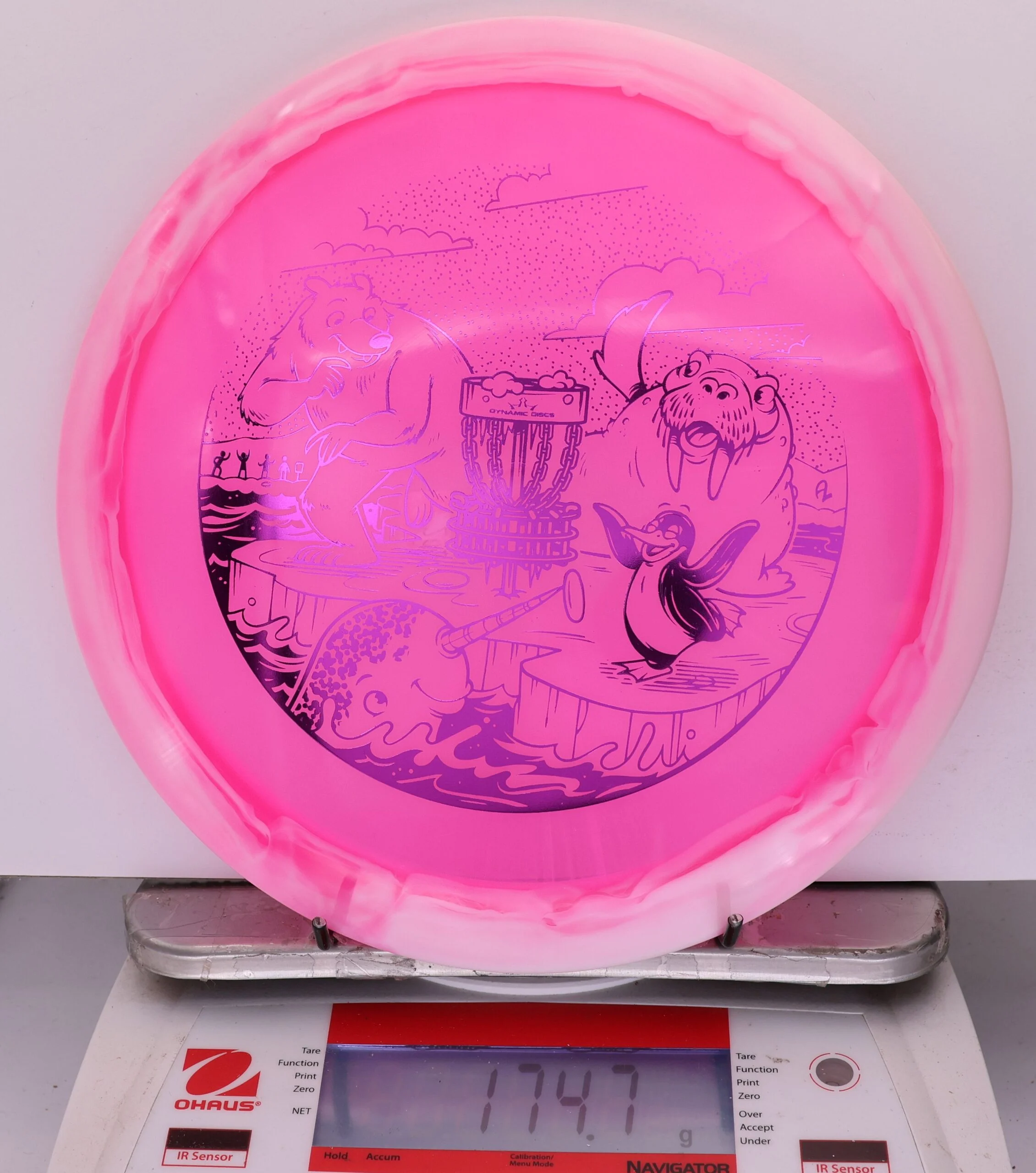 925997 Lucid Ice Orbit Escape, Polar Party - #204 White-Pink, 175