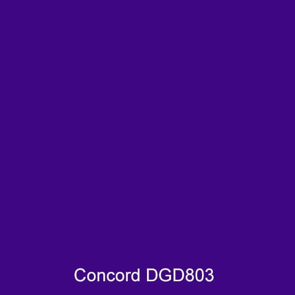 968804 Pro Chem Dye 2 oz - Concord, 2oz