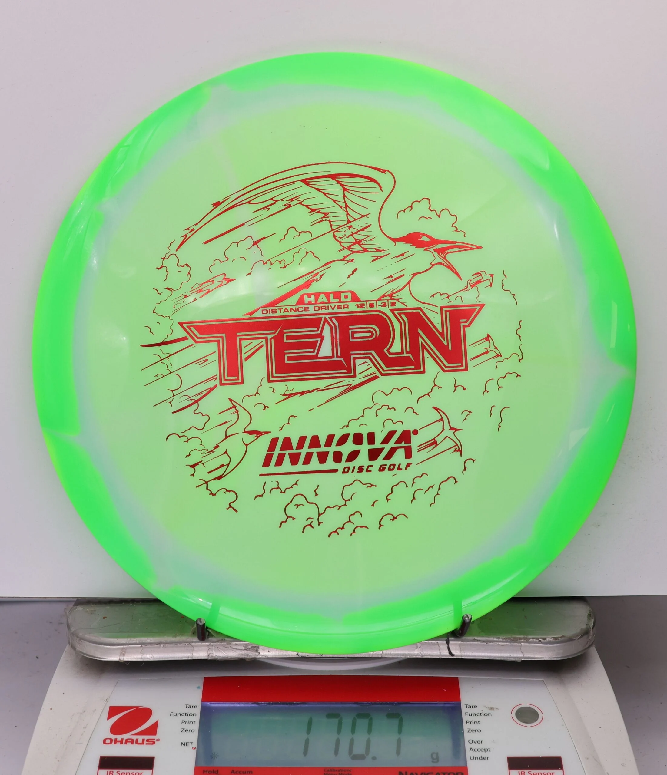 976228 Halo Star Tern - #932 Green-White, 171