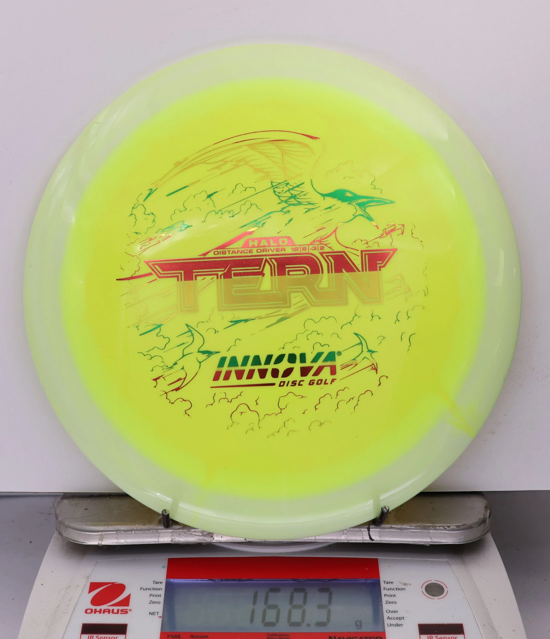 976245 Halo Star Tern - #936 White-Yellow, 168