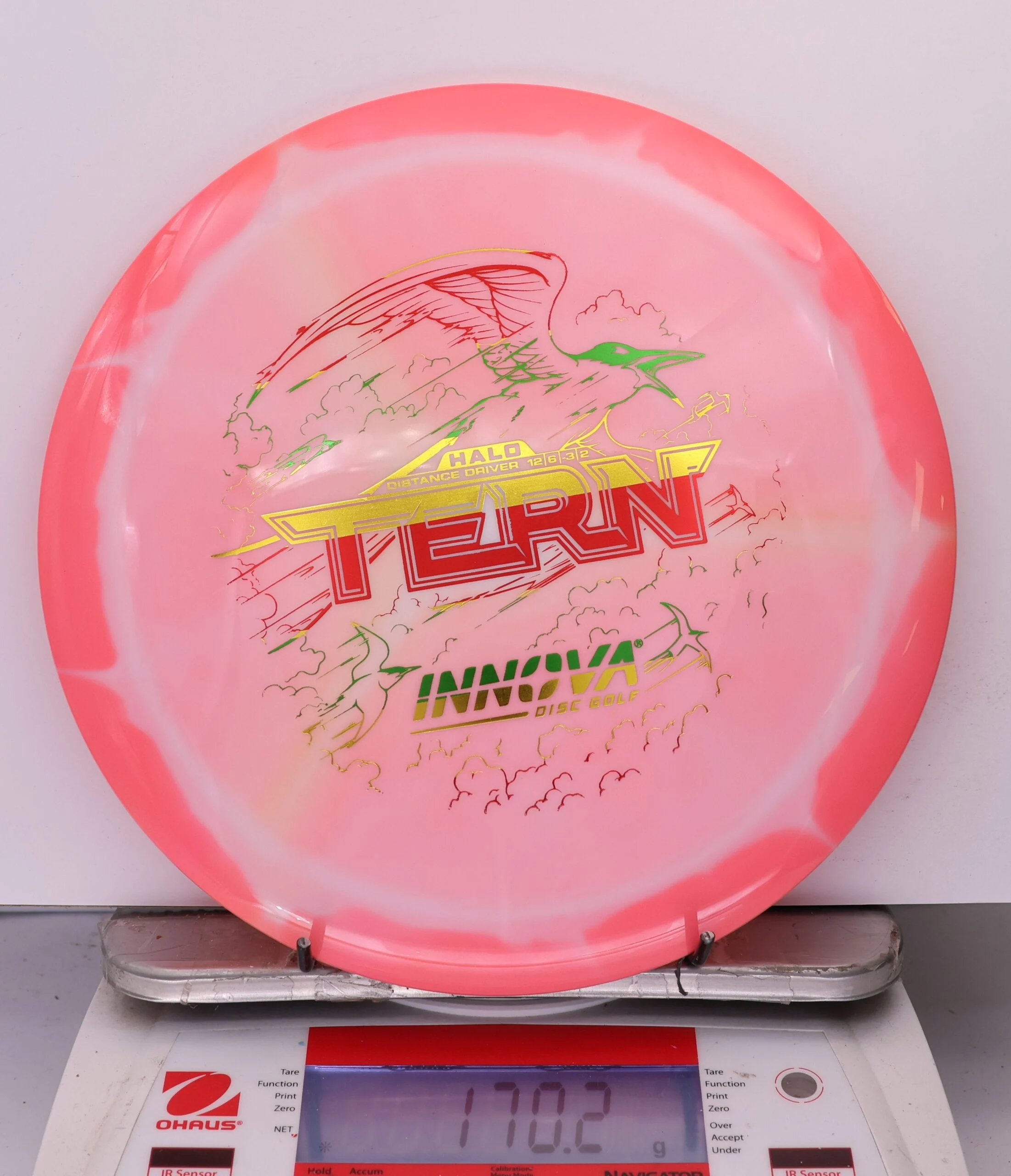 976246 Halo Star Tern - #937 Coral-White, 170