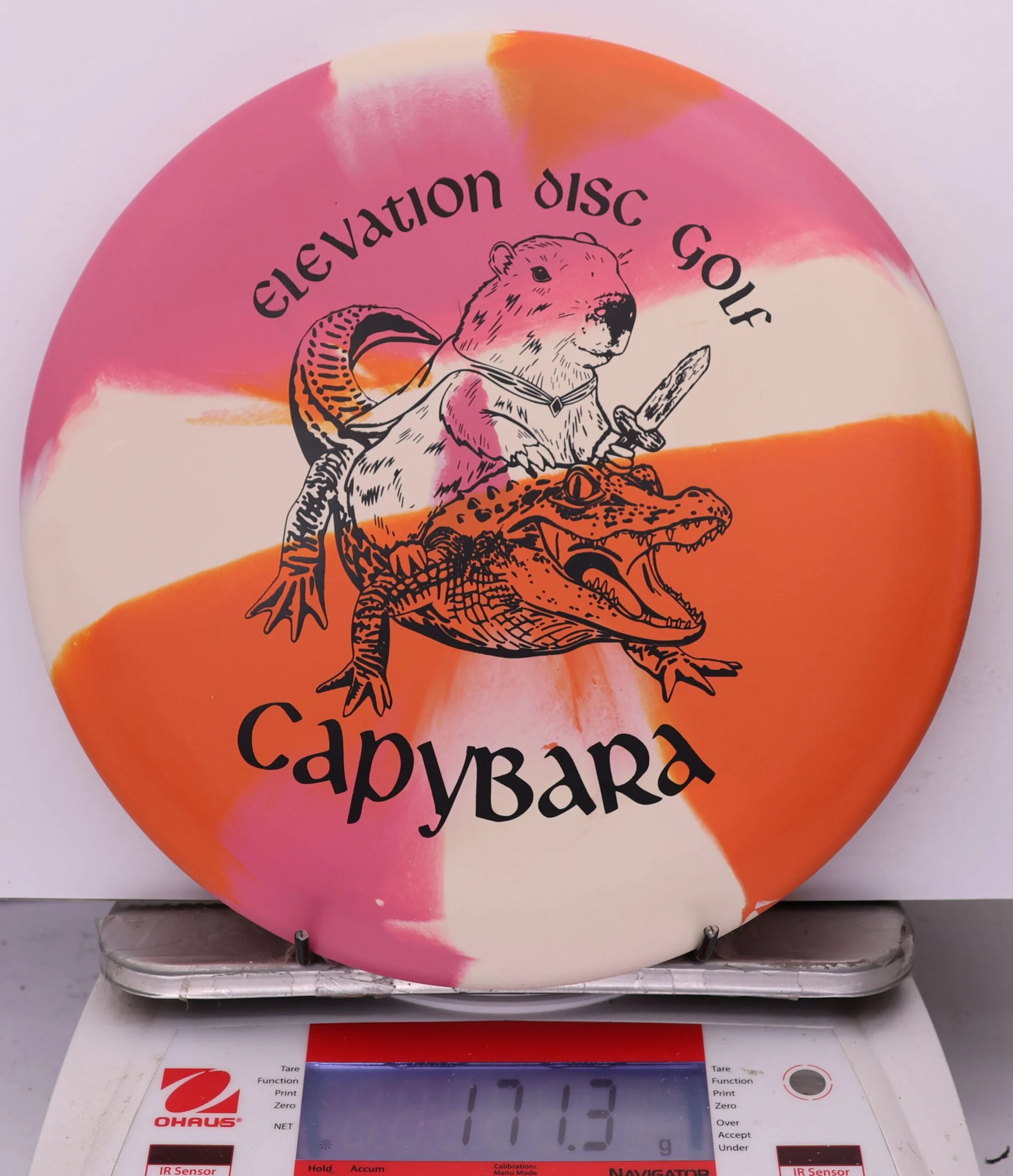 1002607 ecoFLEX Capybara - #05 Roseate, 171