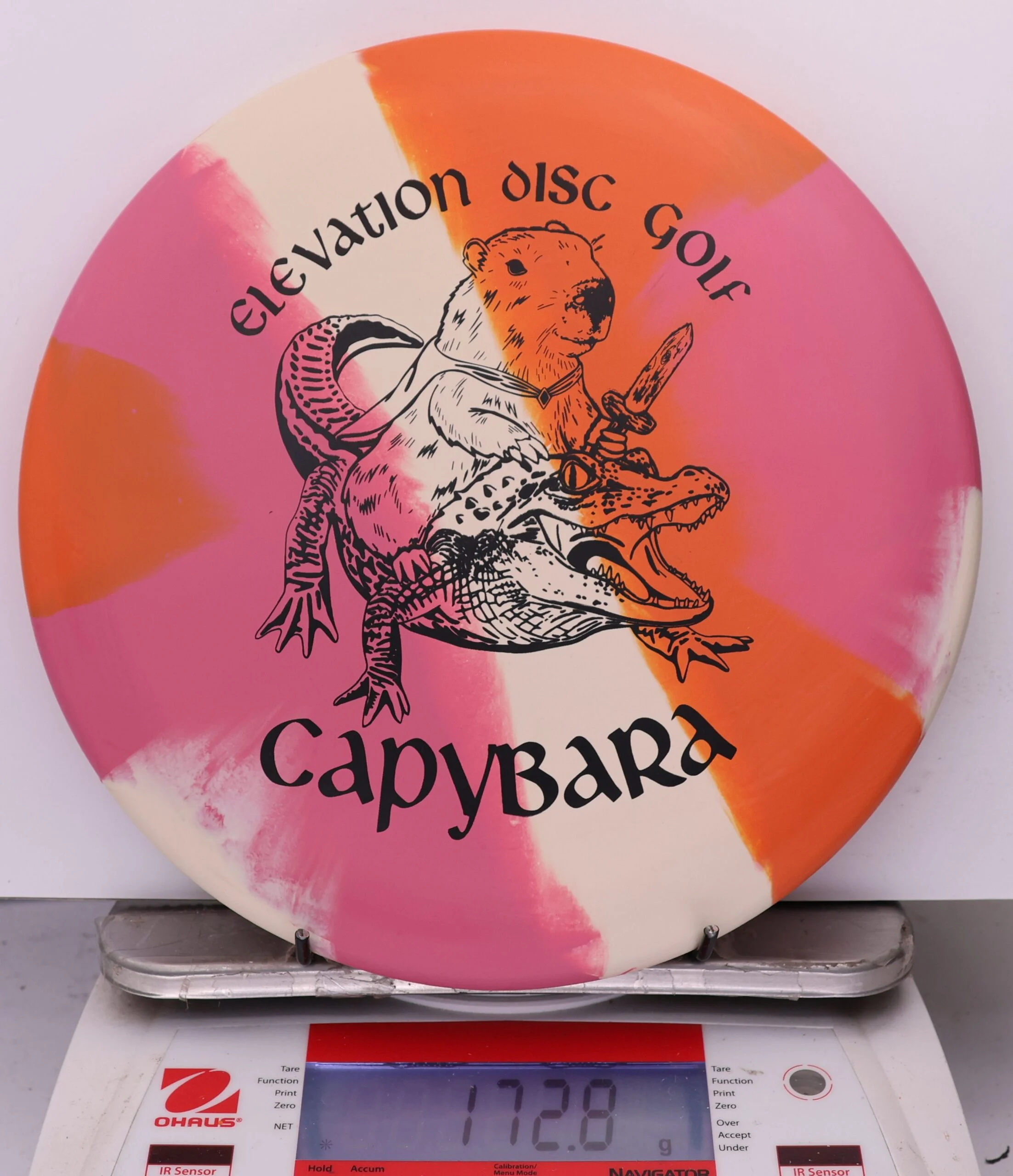 1002608 ecoFLEX Capybara - #06 Roseate, 173