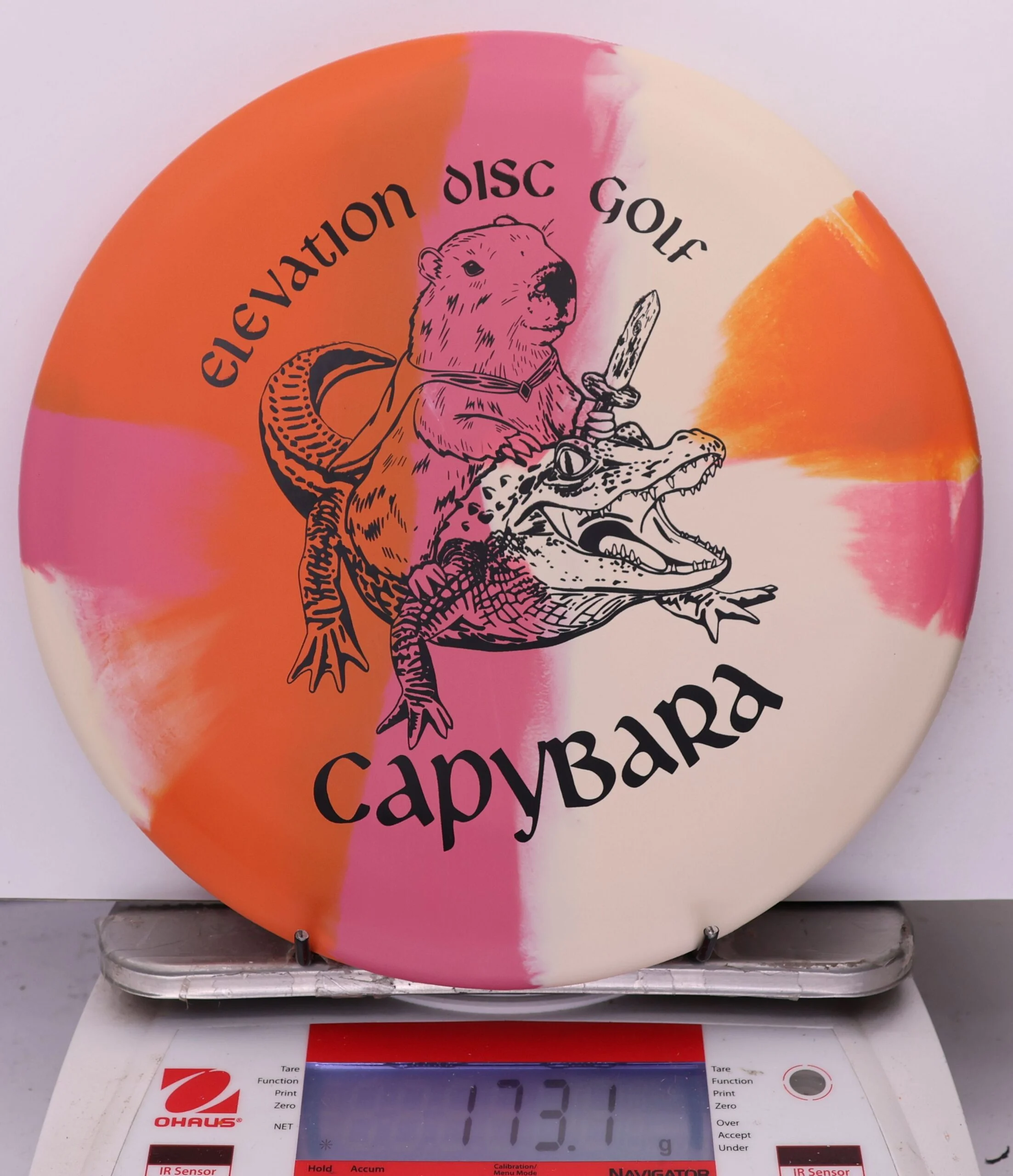 1002624 ecoFLEX Capybara - #13 Roseate, 173