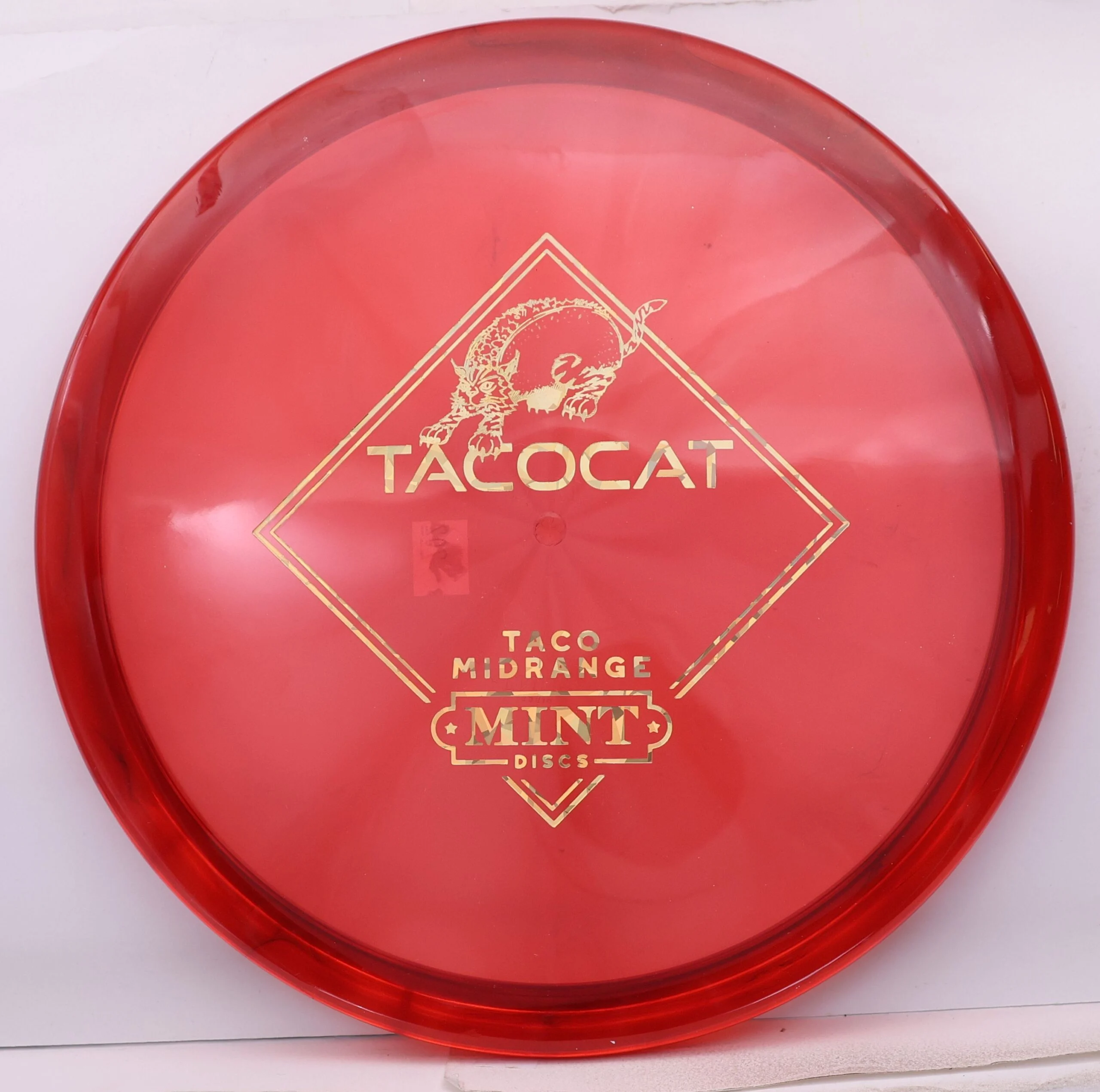 Eternal Bobcat, Tacocat - Image 3