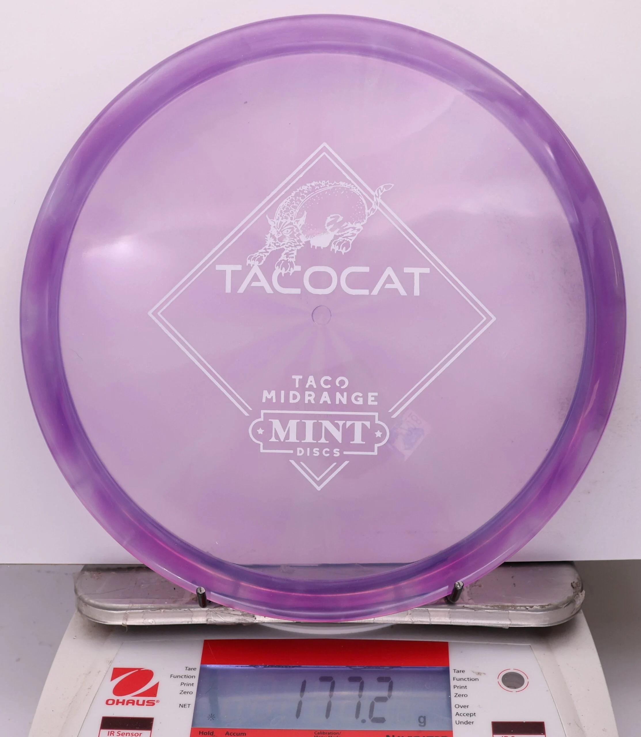 1024956 Eternal Bobcat, Tacocat - #208 Purple, 177