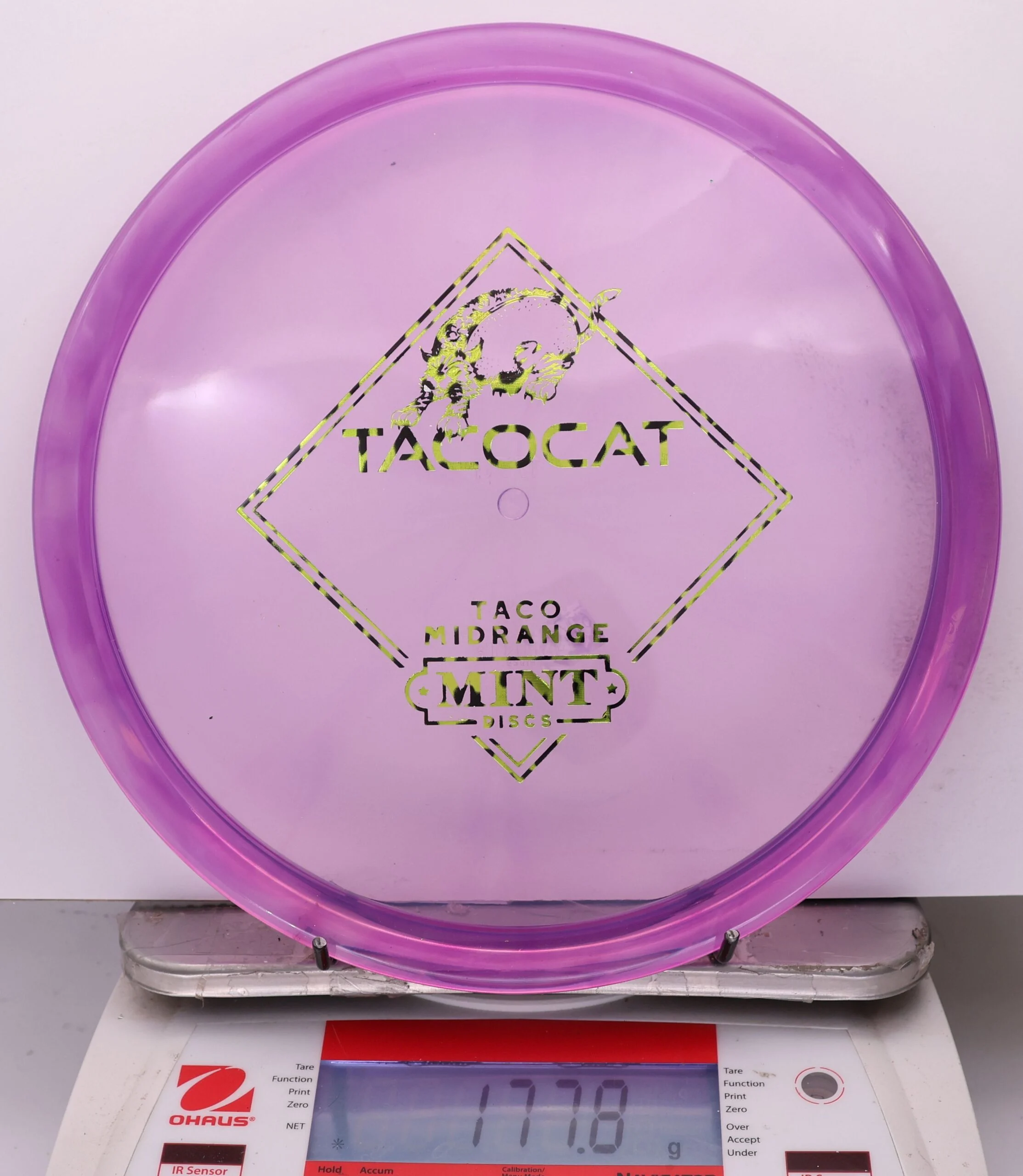 1024957 Eternal Bobcat, Tacocat - #209 Purple, 178