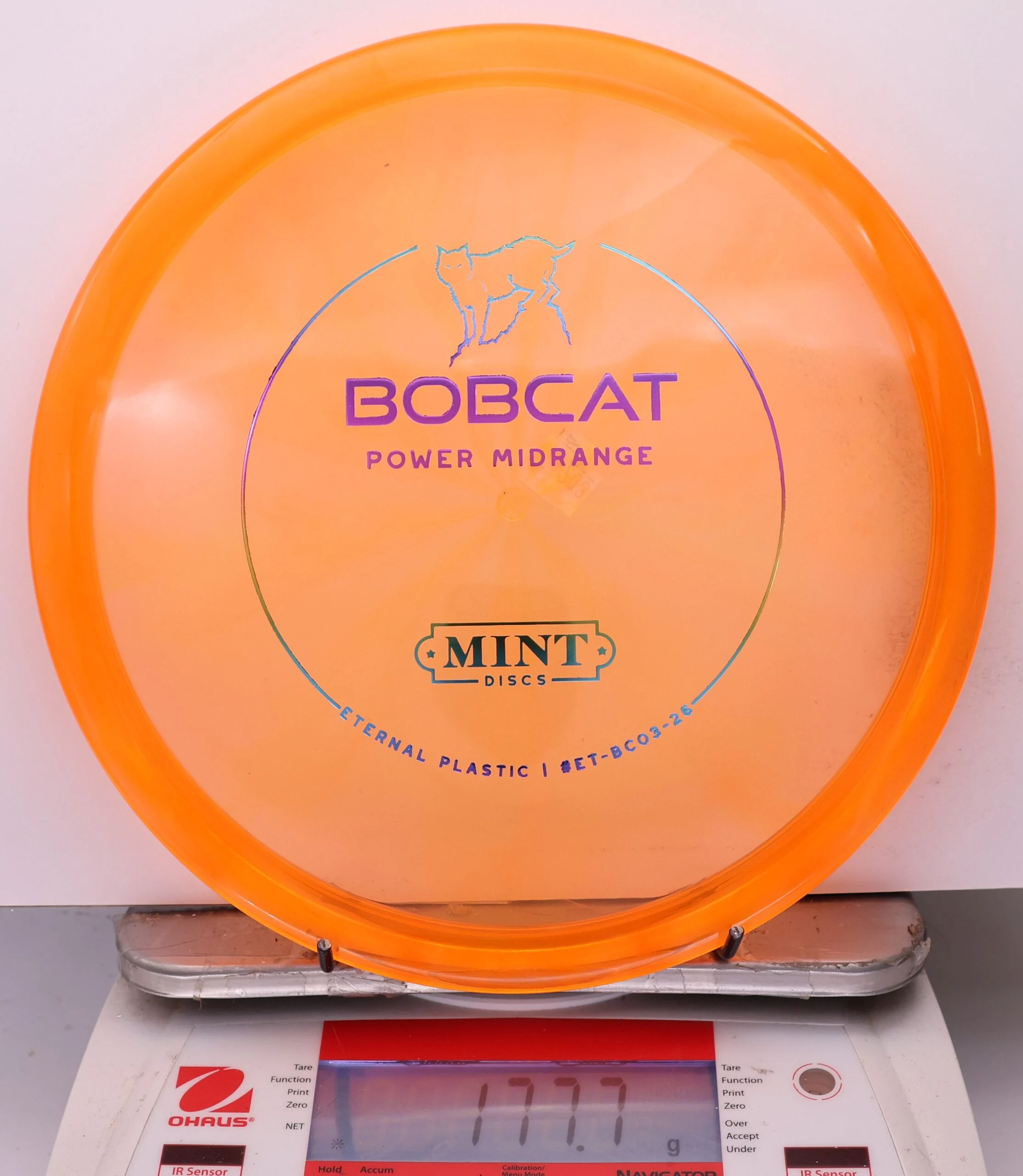 1025166 Eternal Bobcat - #204 Orange, 178