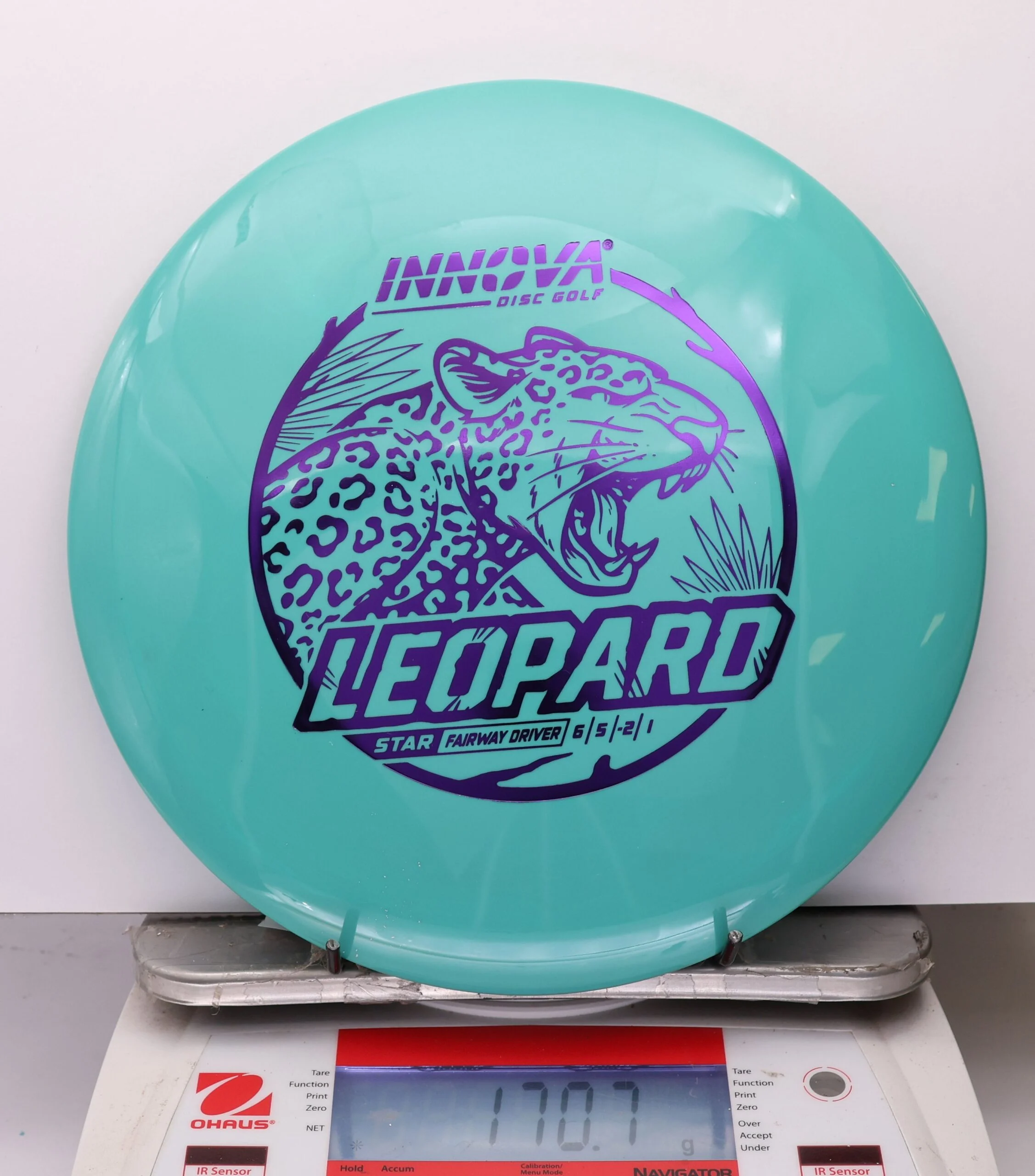 1077833 Star Leopard - #42 Teal, 171