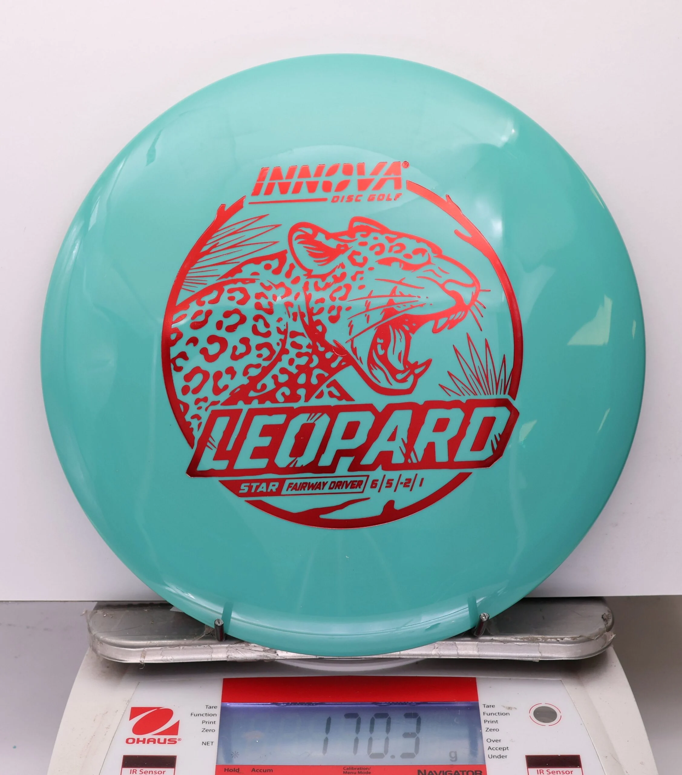1077845 Star Leopard - #44 Teal, 170