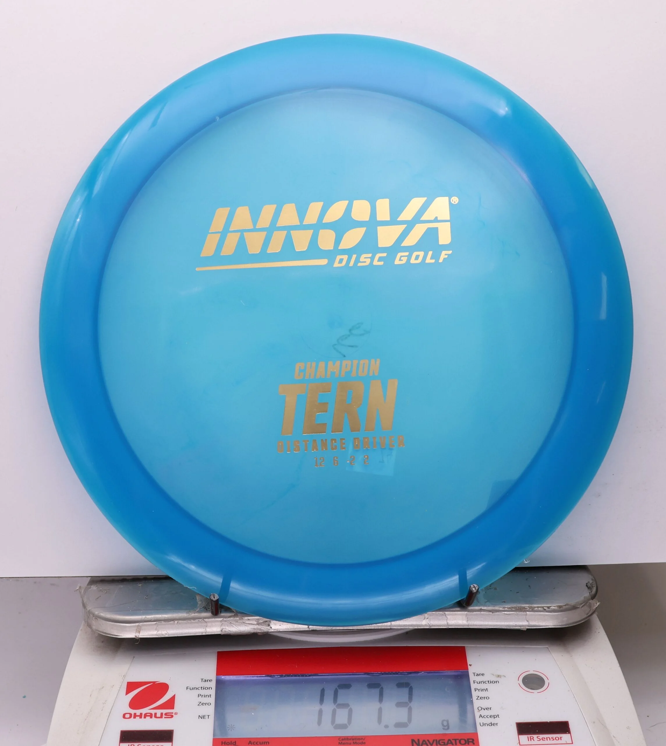 1079544 Champion Tern - #74 Blue, 167