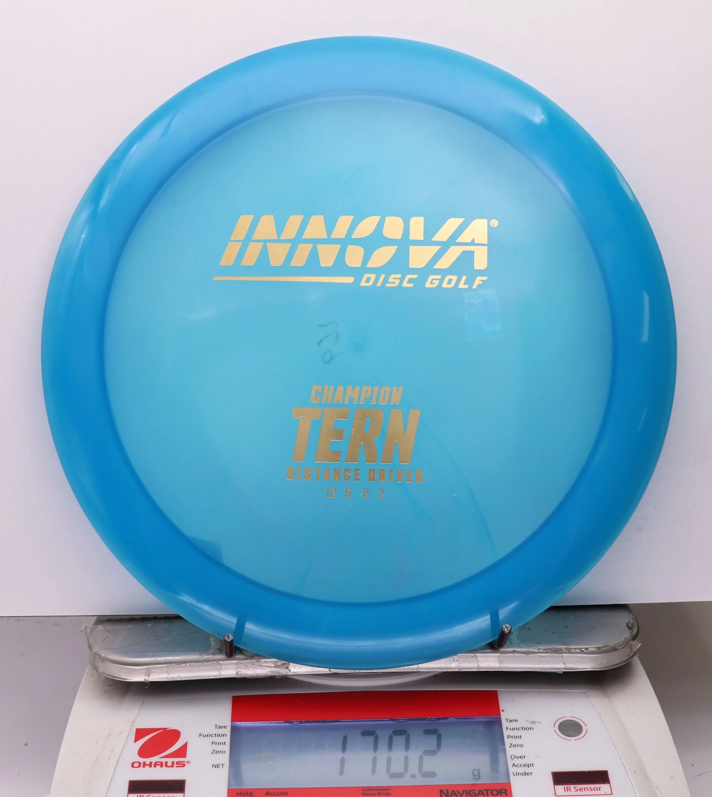 1079545 Champion Tern - #75 Blue, 170