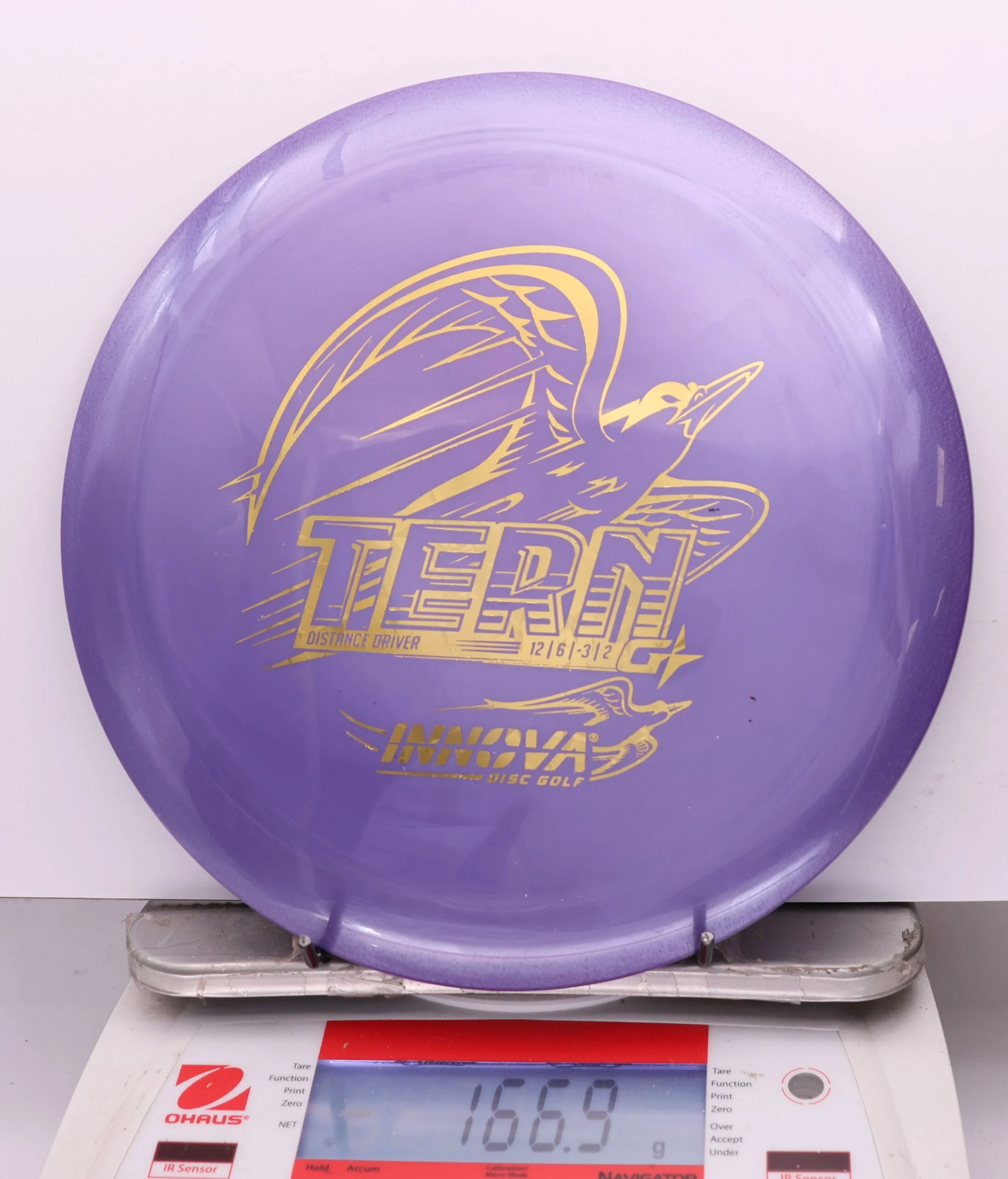 1136434 GStar Tern - #230 Purple, 177