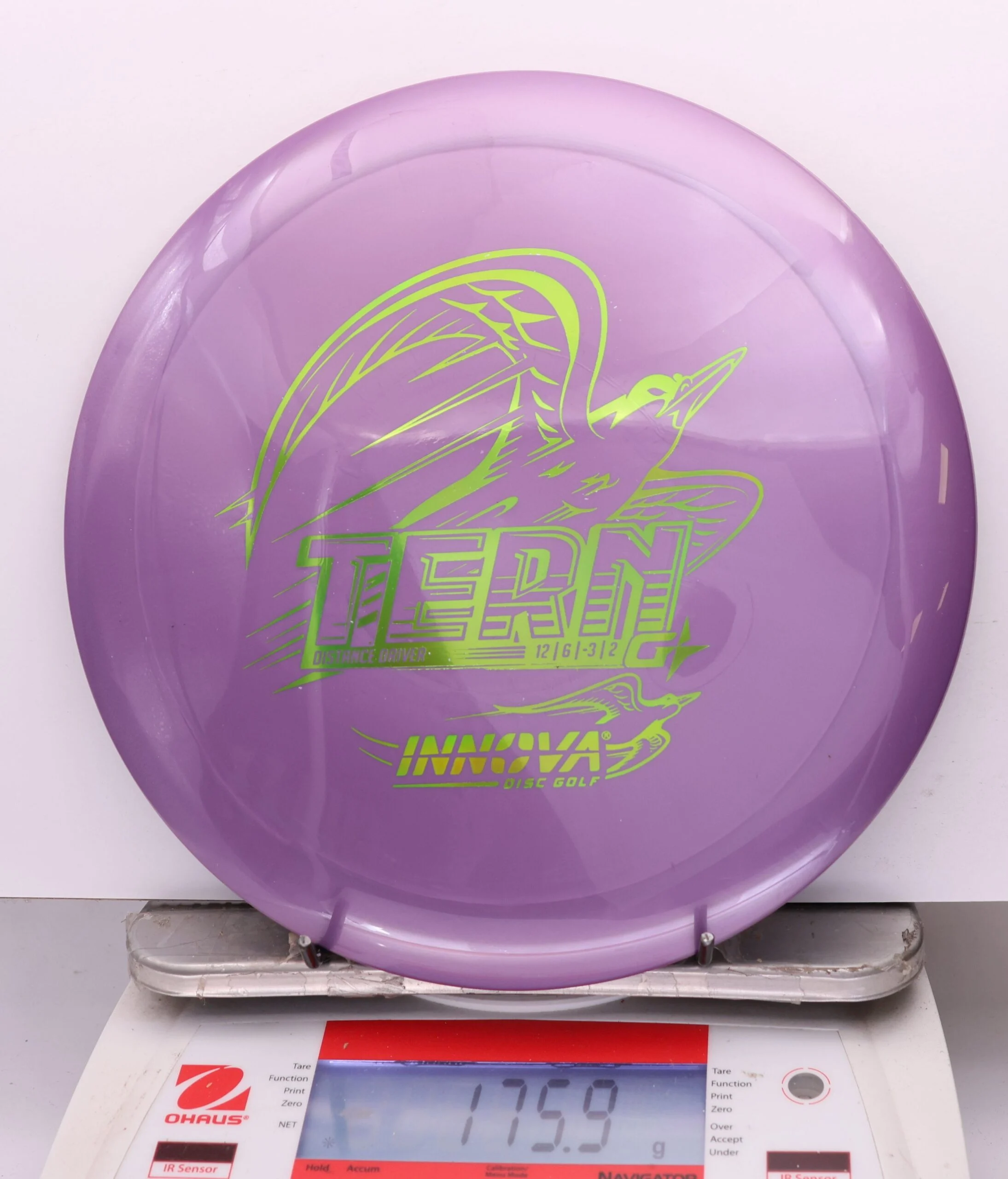 1136435 GStar Tern - #231 Purple, 176