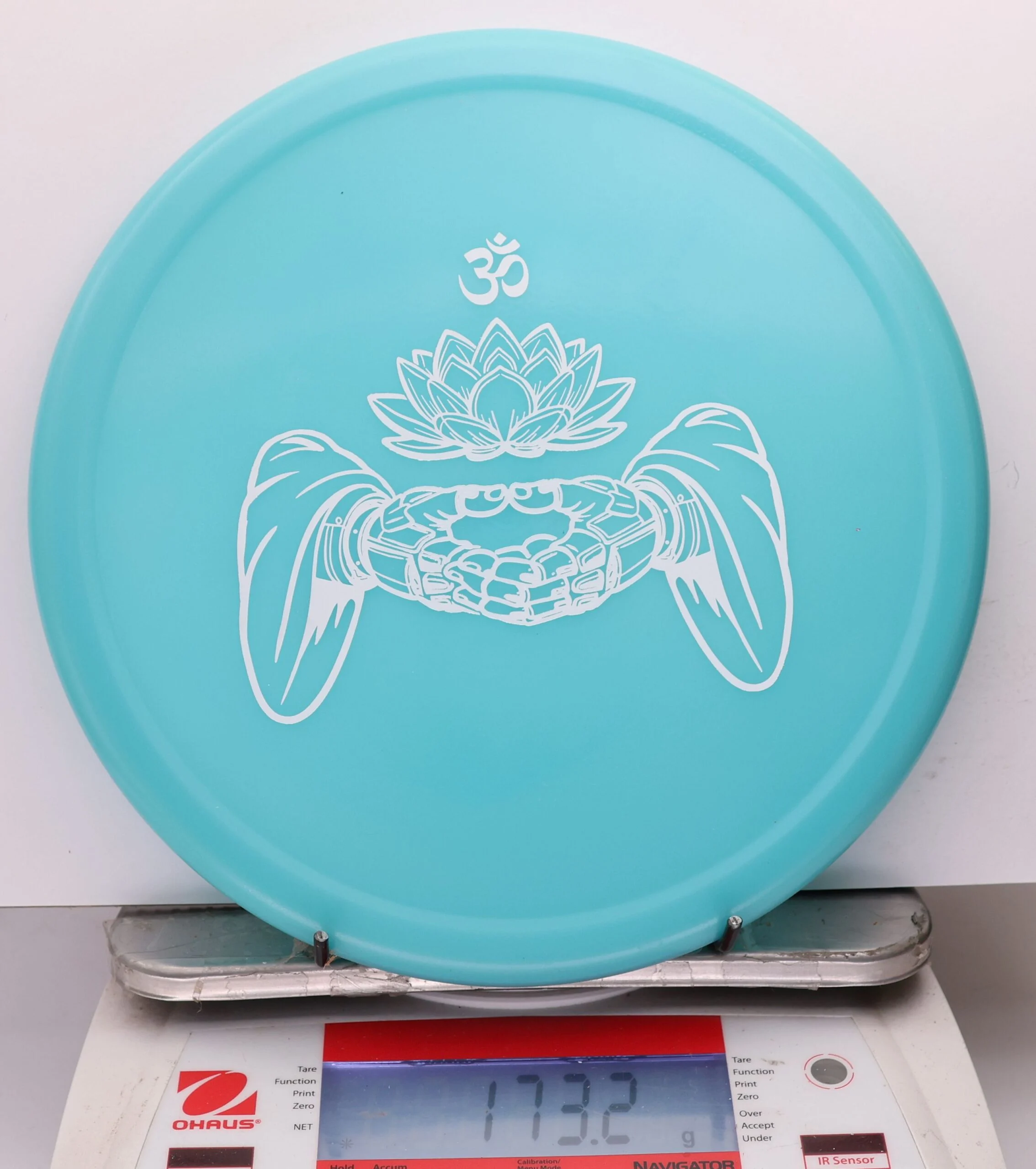 1174640 Proto Glow Pro Pig, Ohn Scoggins Takeover - #248 Blue, 173