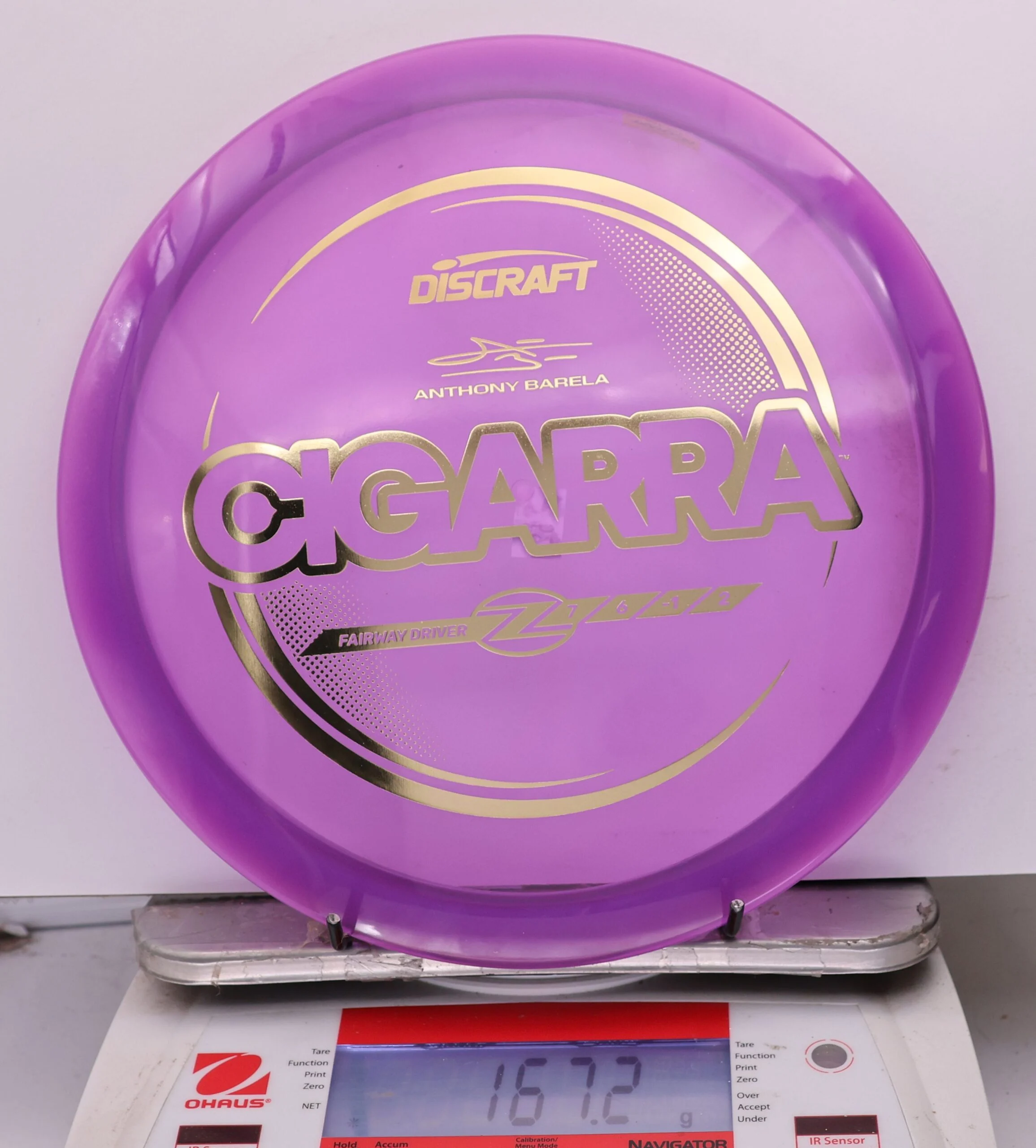 Z Cigarra, Anthony Barrela • Marshall Street Disc Golf