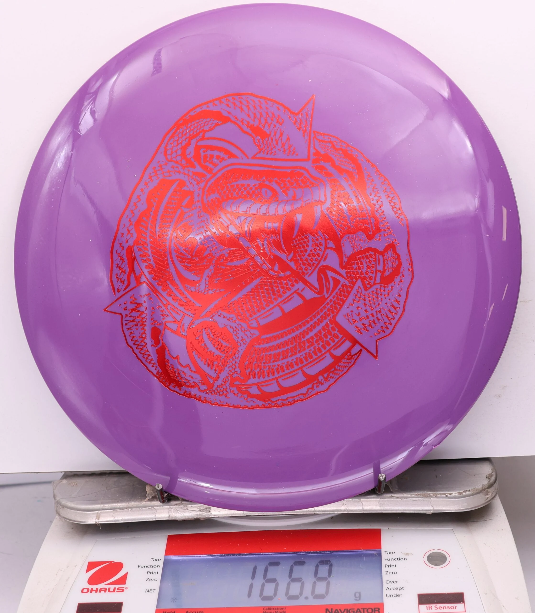1199732 Echo Star Mamba - #25 Purple, 167