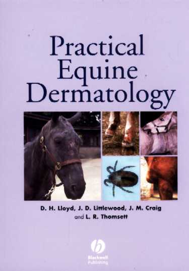 Practical Equine Dermatology Cover Image