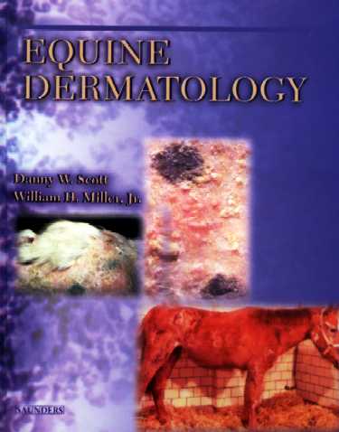 Equine Dermatology Cover Image